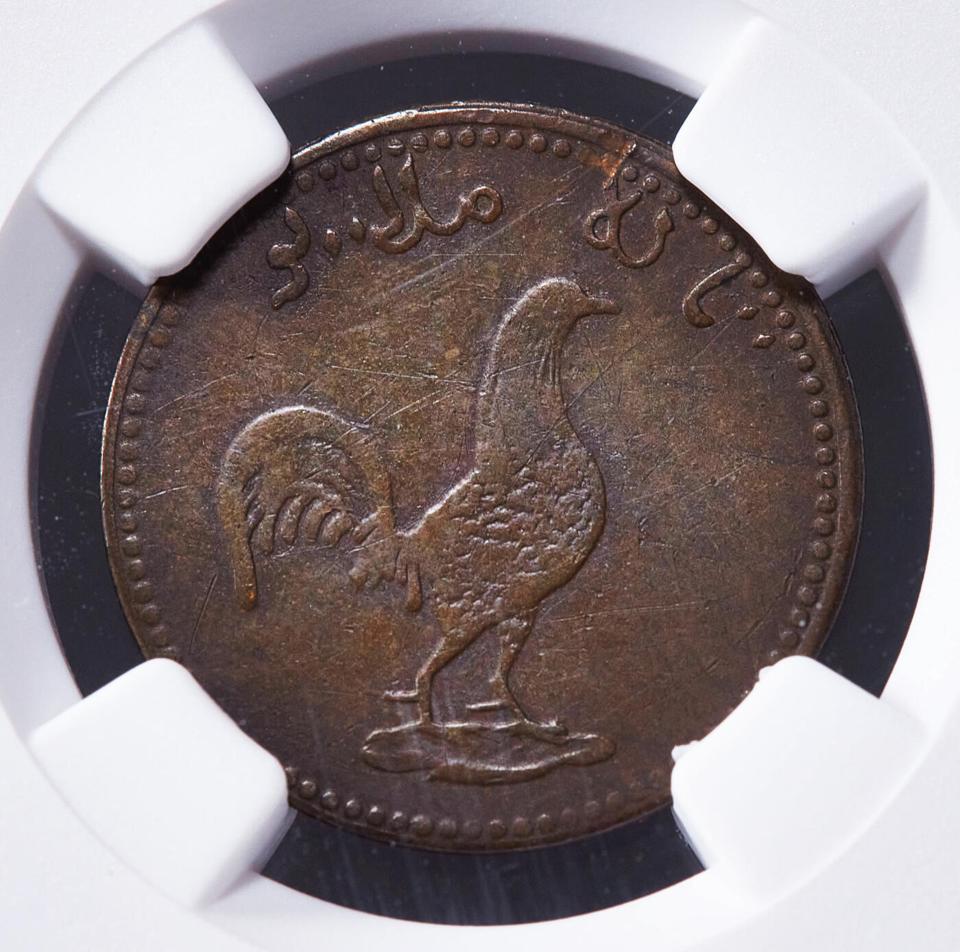 【俄甄集藏】2025年(045)12-03 星期三 晚 19:30 全场包邮 英属新加坡1831年公鸡1科平商业铜质代用币，NGC XFD，热门品种