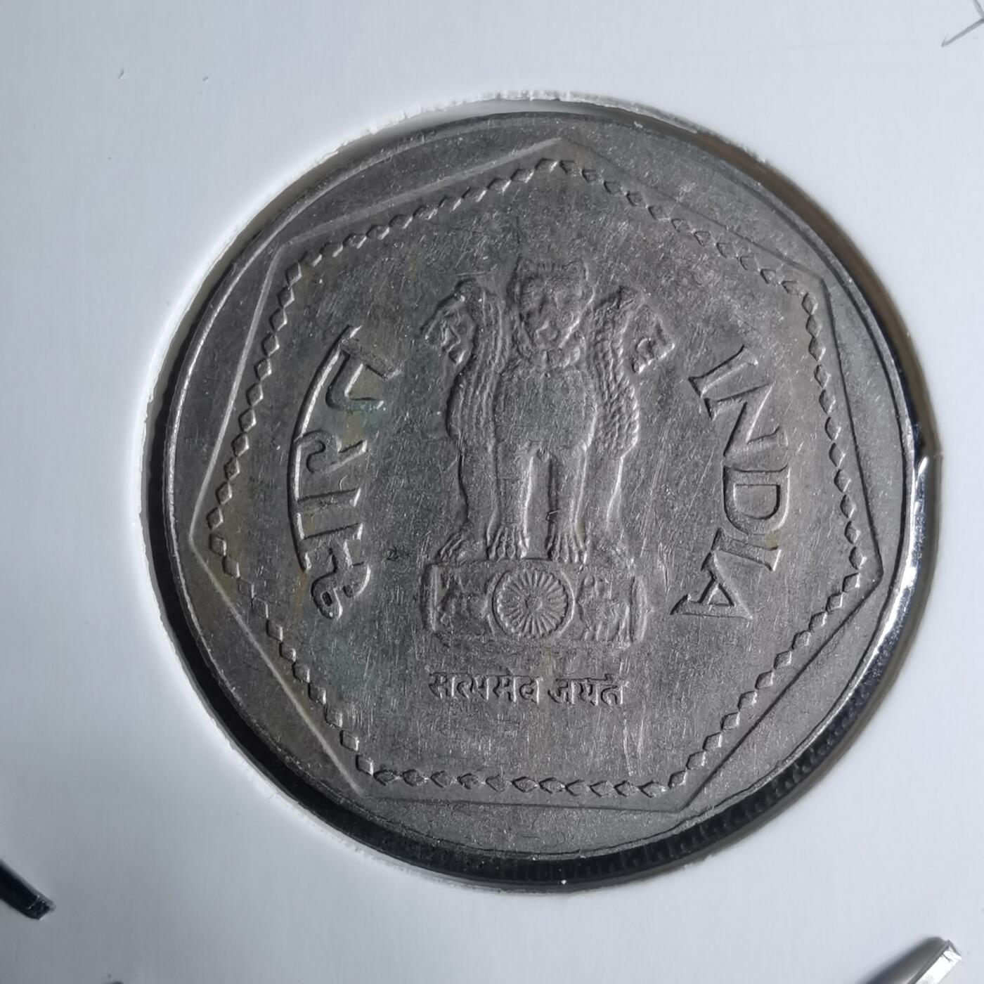 沼泽如烟--第917场