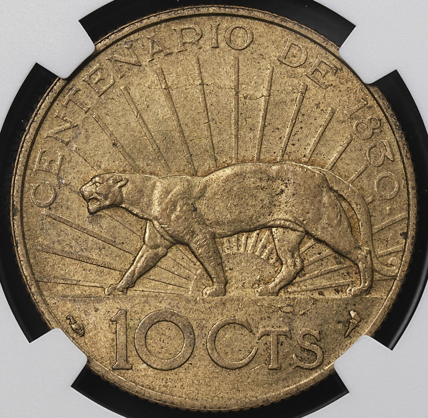 修遠堂世界钱币第九十五期 NGC MS63 1930年乌拉圭10分