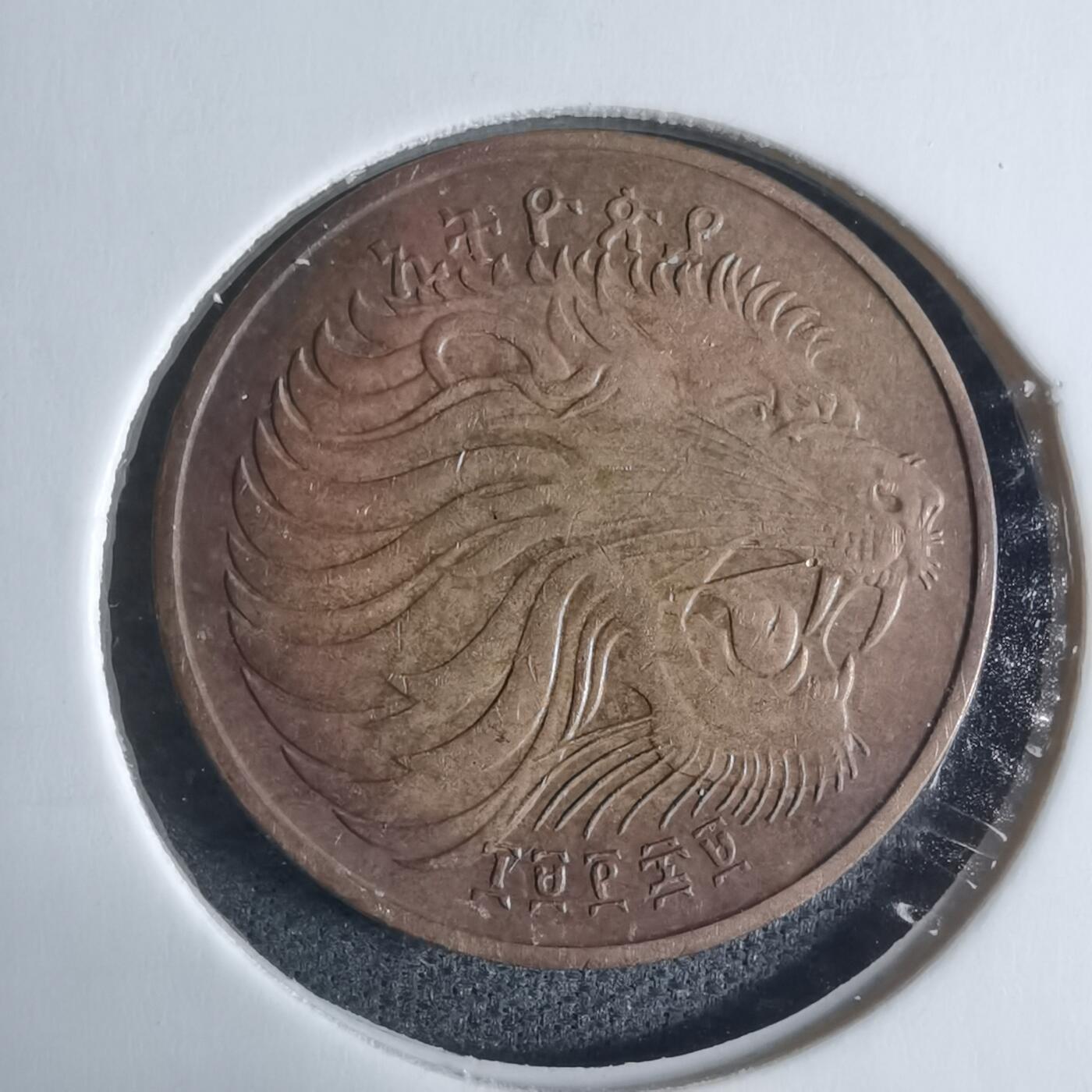 沼泽如烟--第917场