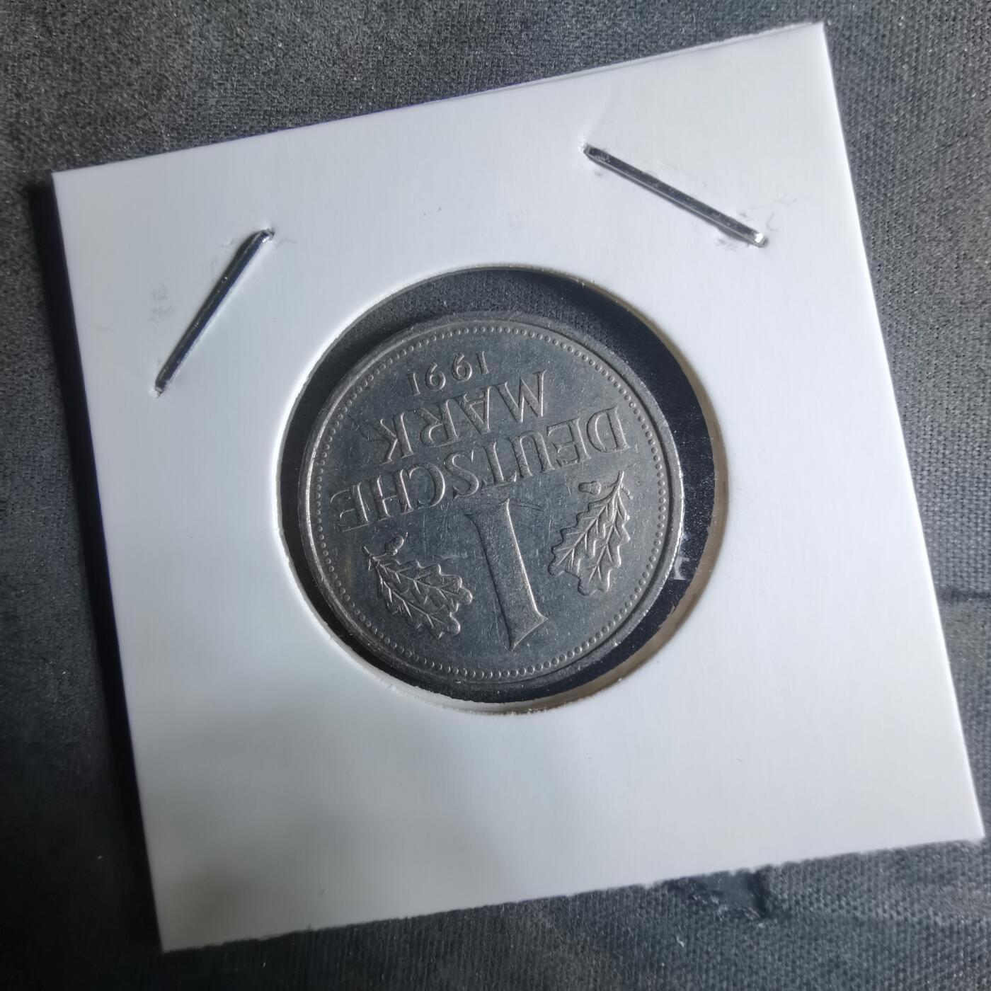 沼泽如烟--第917场