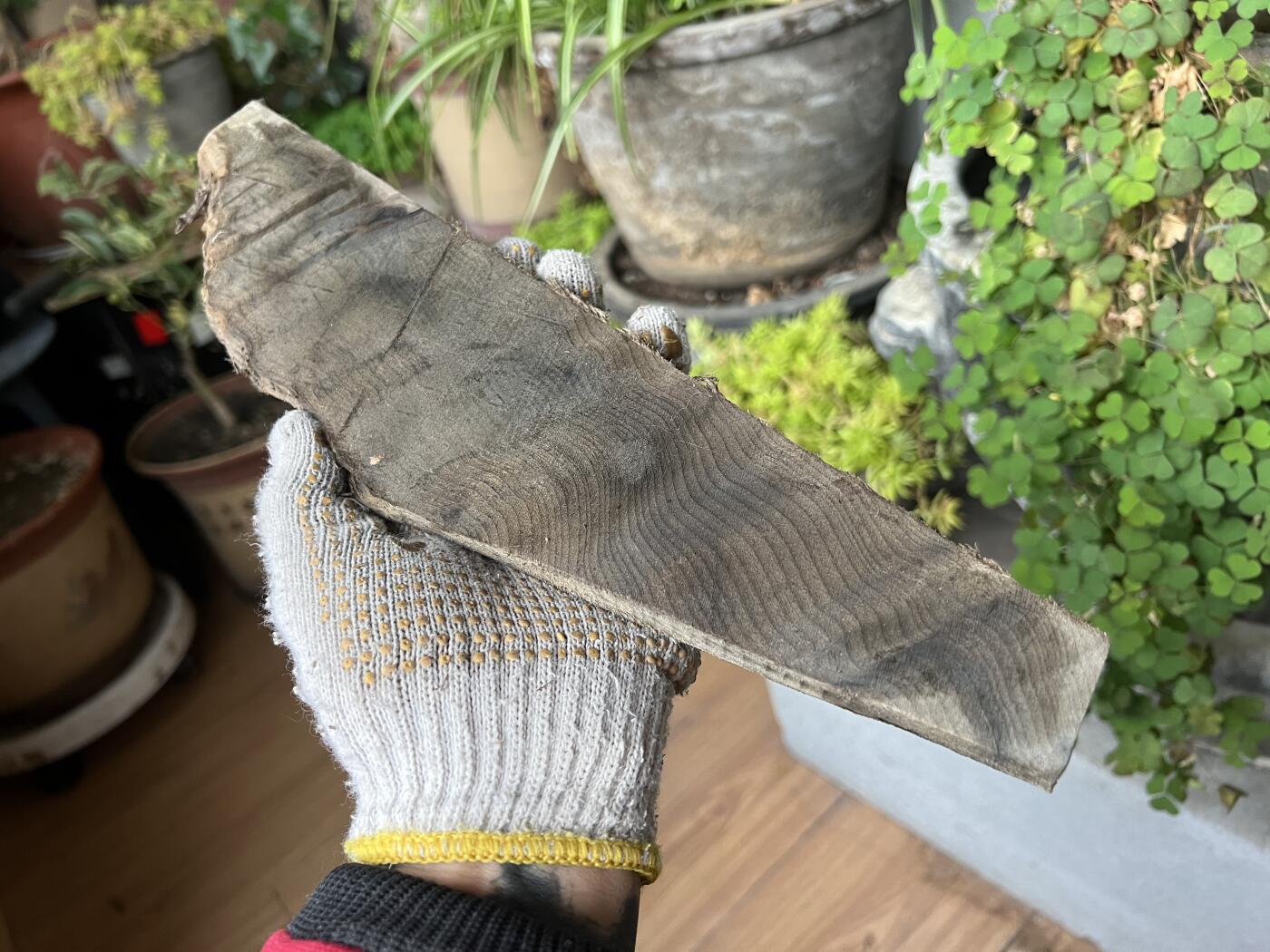 零元拍：NO.20 金丝楠牌子原料未打磨加工，果香满满，未打磨加工已经波光闪闪，尺寸约：33/8/1.3CM。