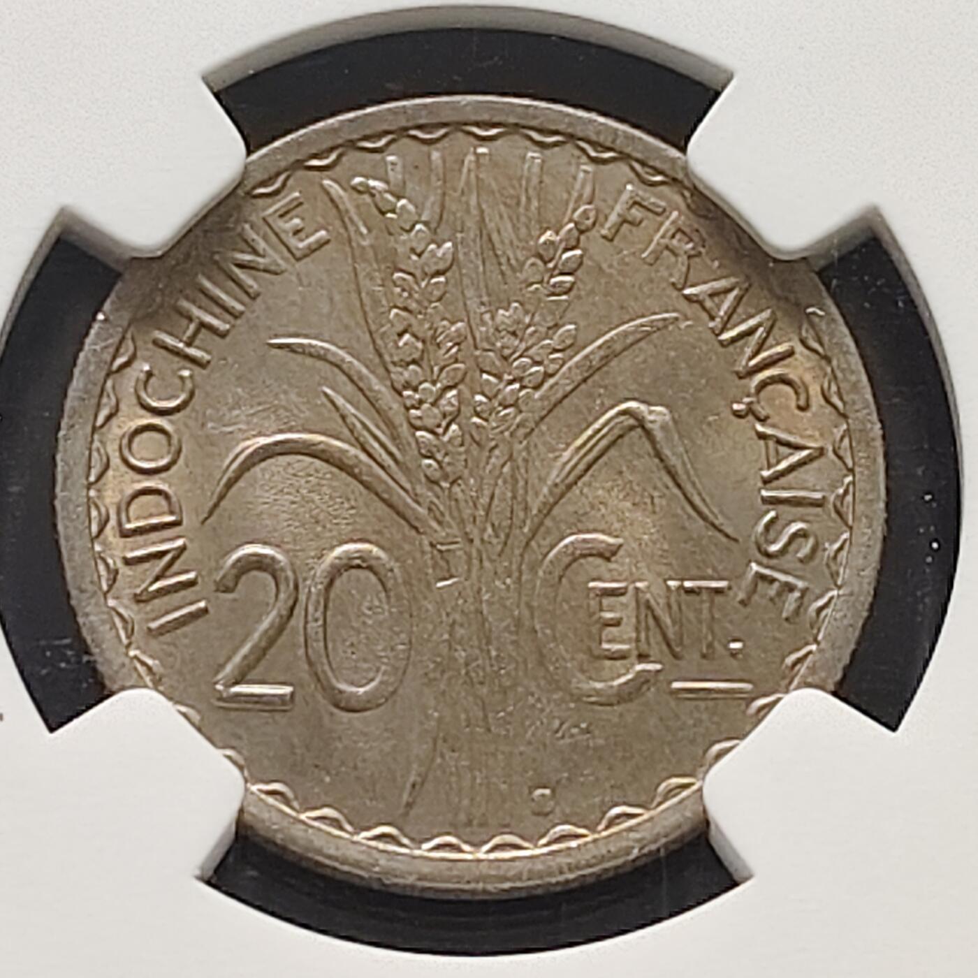 【全场包邮】纯粹捡漏拍483场（免费代拍第20场）