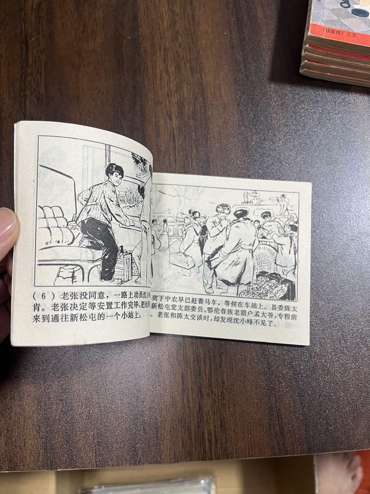 顺昌连环画拍卖（第三期） 新松屯的后代