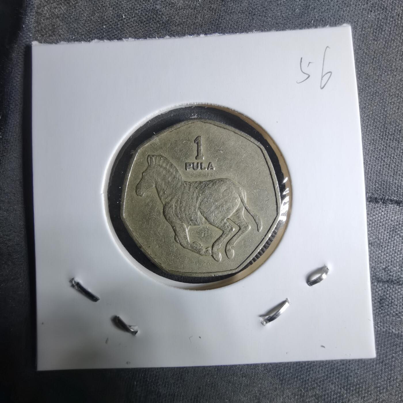 沼泽如烟--第917场