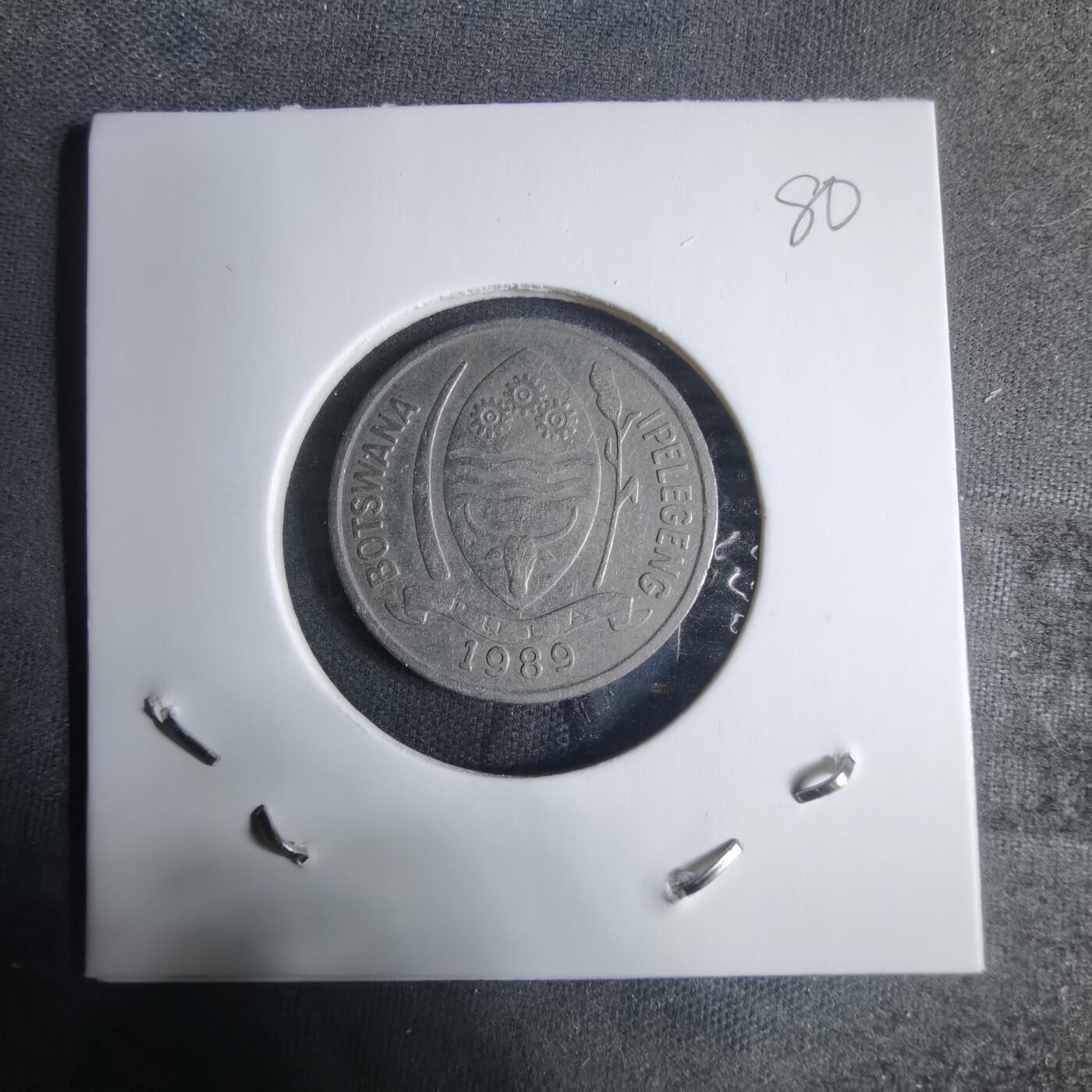 沼泽如烟--第917场