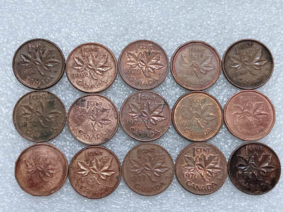 第一海外回流一元起拍收藏 散集专场  第273期 - 加拿大枫叶版1分硬币 15枚 