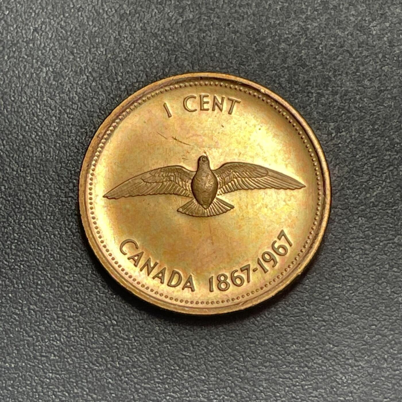 回流1130 全新 加拿大1967年1分 加拿大联邦成立100周年 旅鸽（已灭绝）