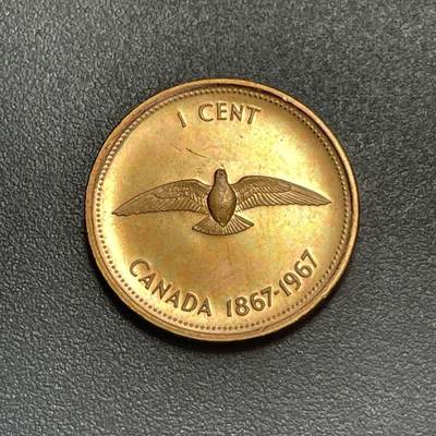 回流1130 - 全新 加拿大1967年1分 加拿大联邦成立100周年 旅鸽（已灭绝）