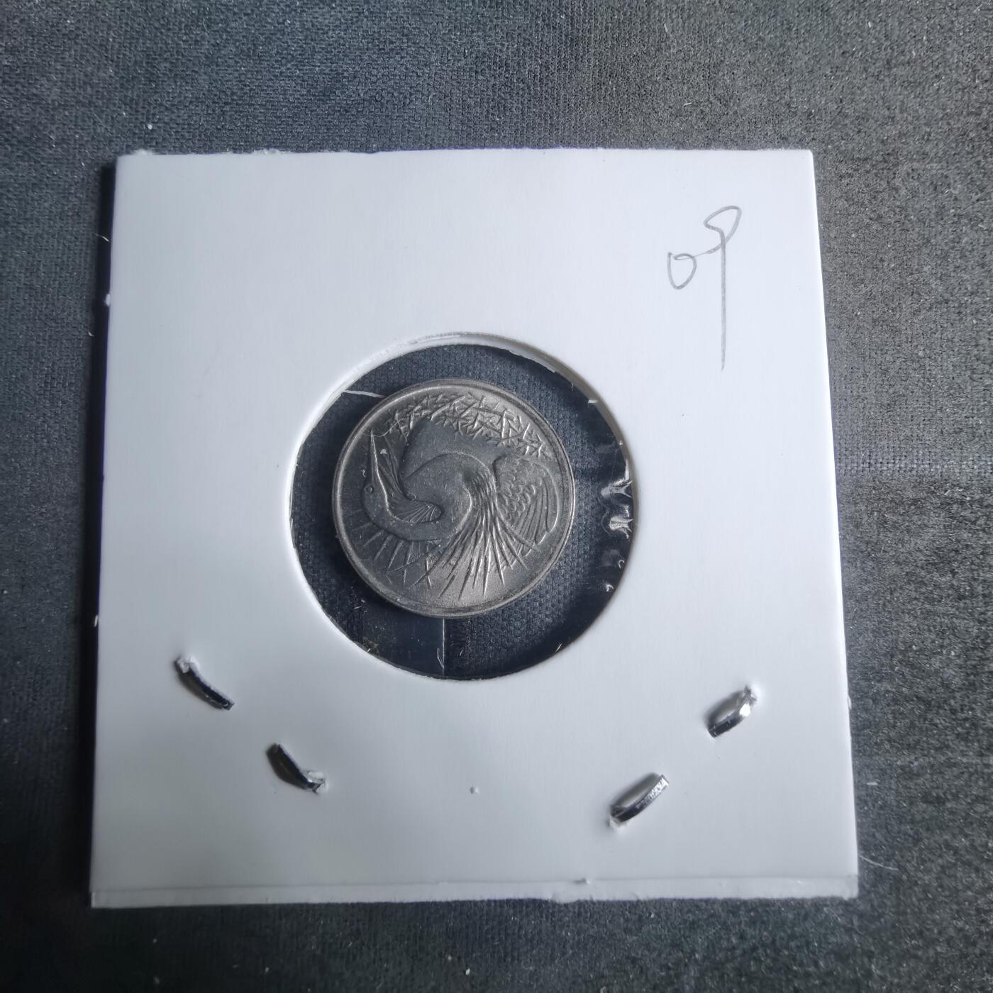 沼泽如烟--第917场