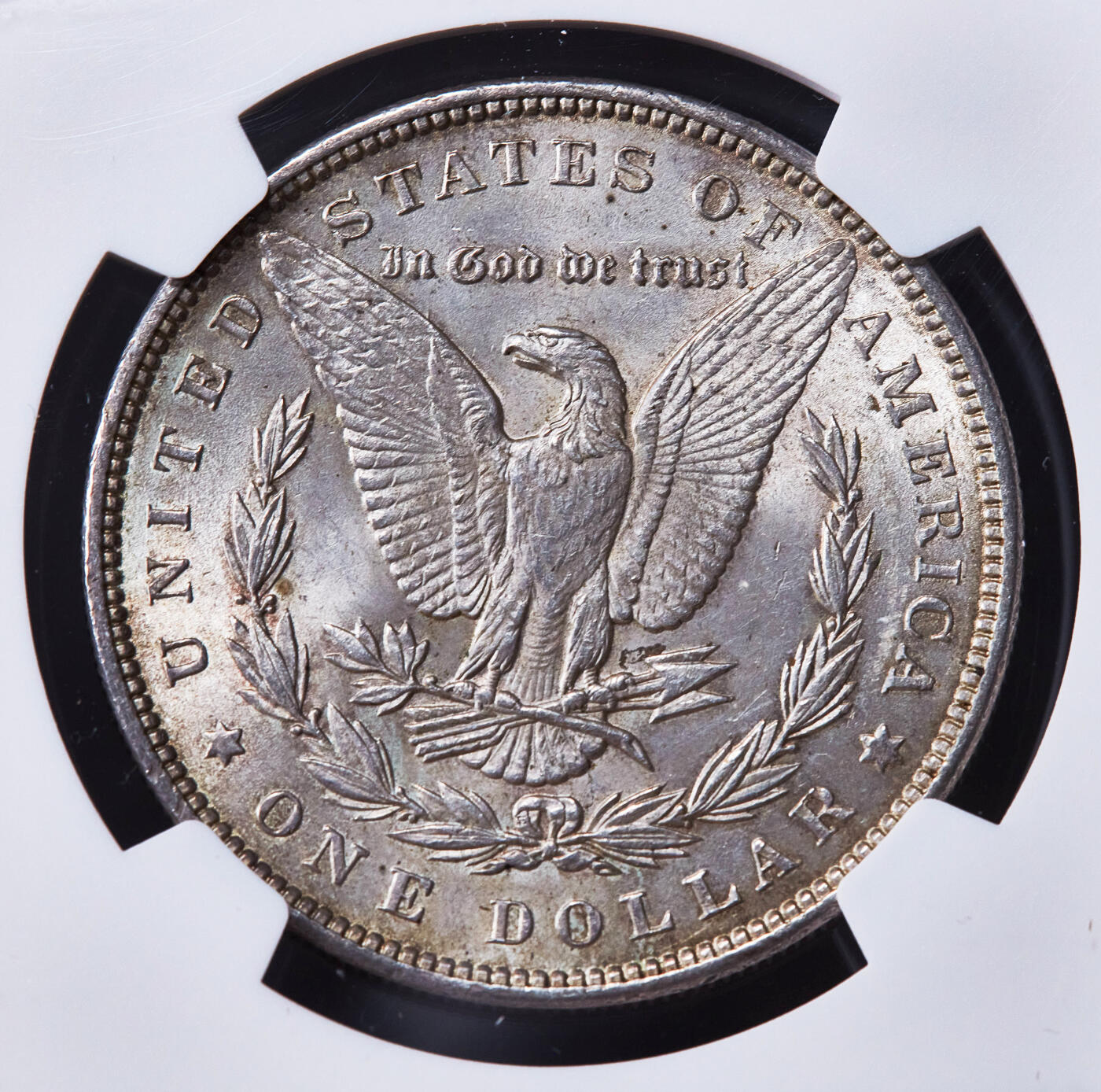 【俄甄集藏】2025年(045)12-03 星期三 晚 19:30 全场包邮 美国1891年摩根1美元大银币，NGC MS64，黄油彩转光品相