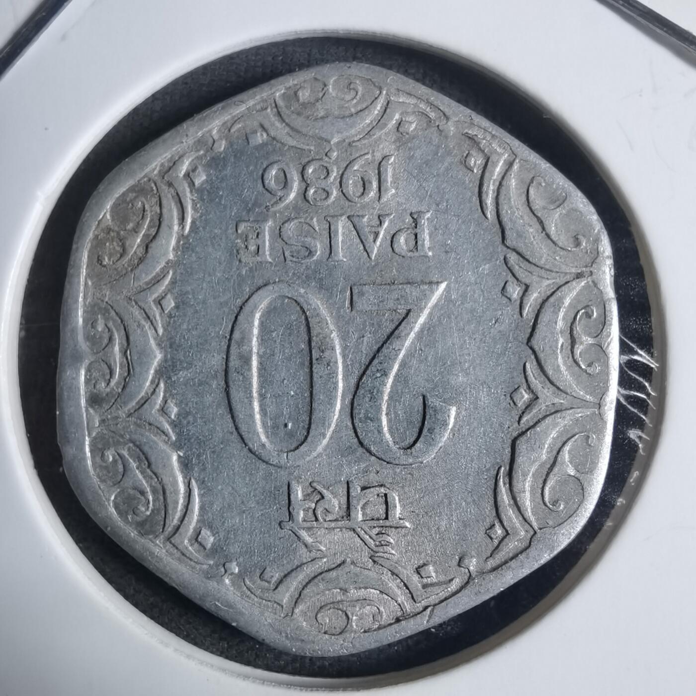 沼泽如烟--第917场