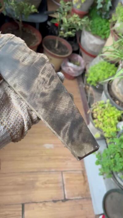 零元拍：NO.20 金丝楠牌子原料未打磨加工，果香满满，未打磨加工已经波光闪闪，尺寸约：33/8/1.3CM。