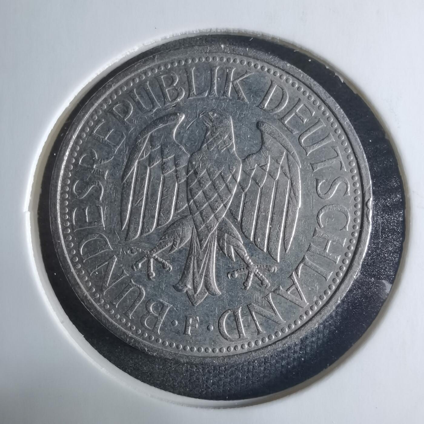 沼泽如烟--第917场