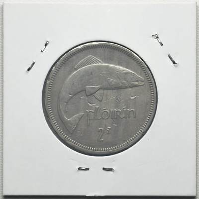 ＜小葵钱铺＞第66期·散币·银币场·满200包邮，不寄存·12月1号发货 - 爱尔兰1964年鲑鱼2先令硬币