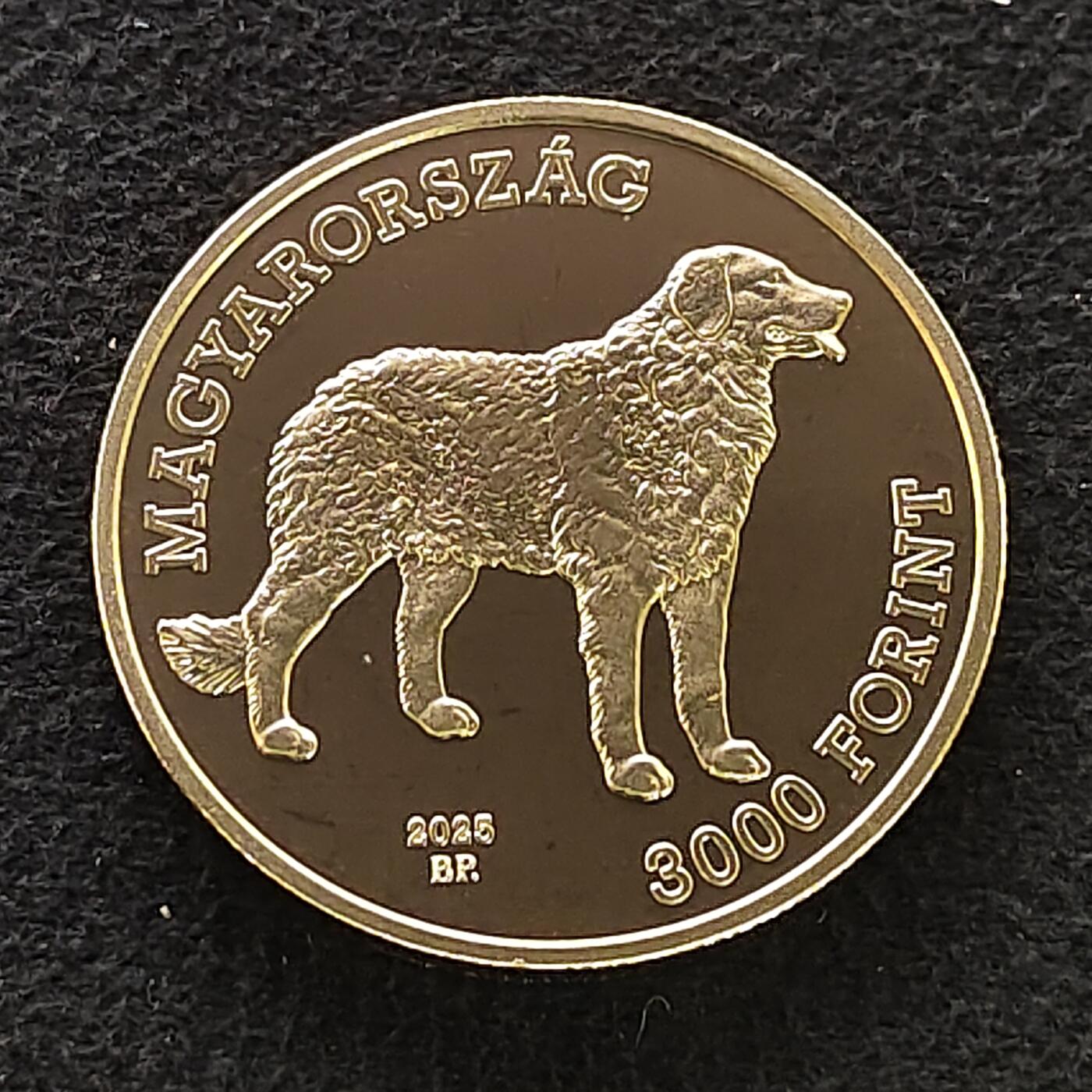 【全场包邮】纯粹捡漏拍483场（免费代拍第20场） 匈牙利2025年3000福林库瓦兹犬PL纪念币