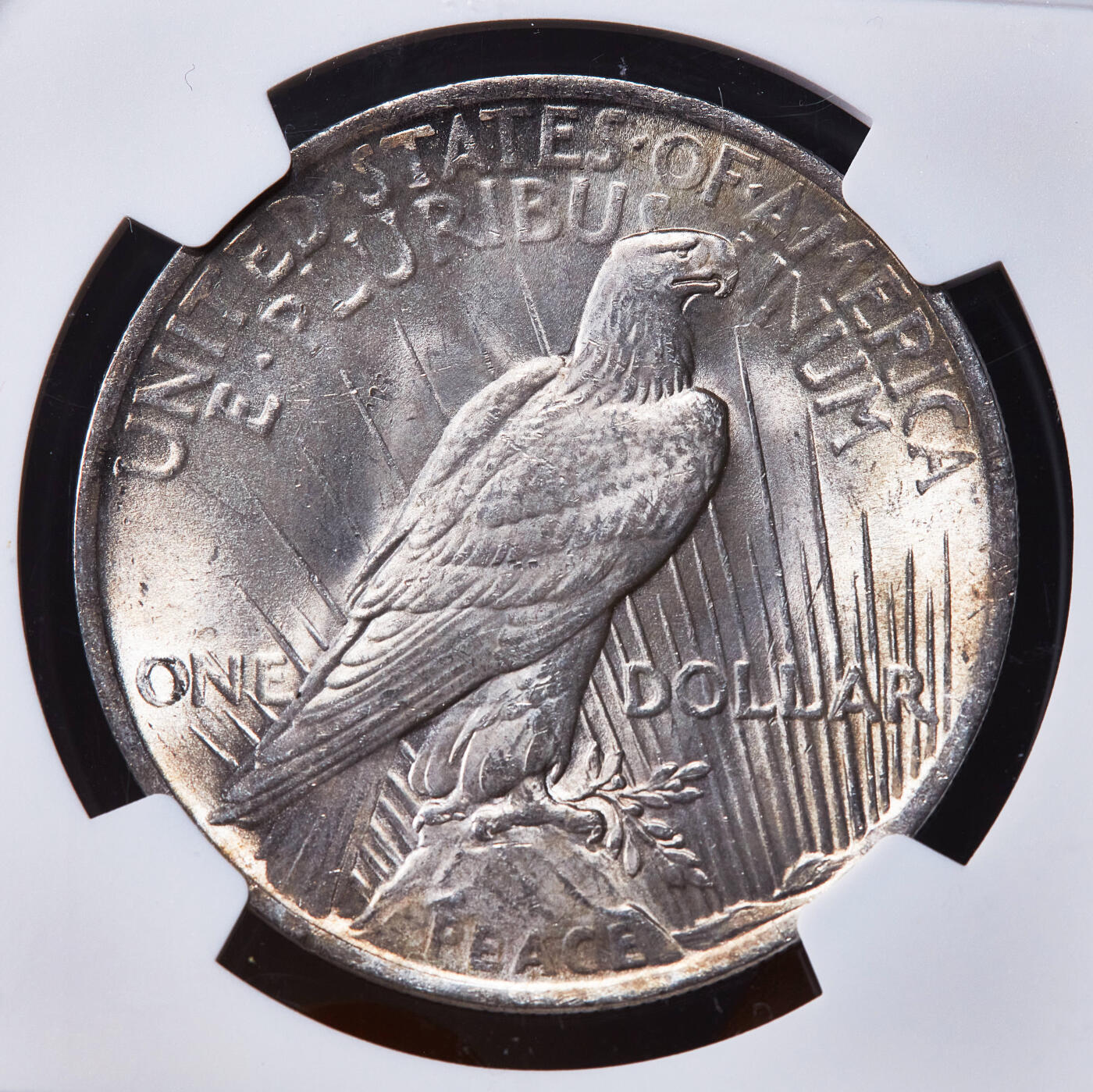 【俄甄集藏】2025年(045)12-03 星期三 晚 19:30 全场包邮 美国1922年和平1美元大银币，NGC MS63，黄油彩包浆，车轮转光