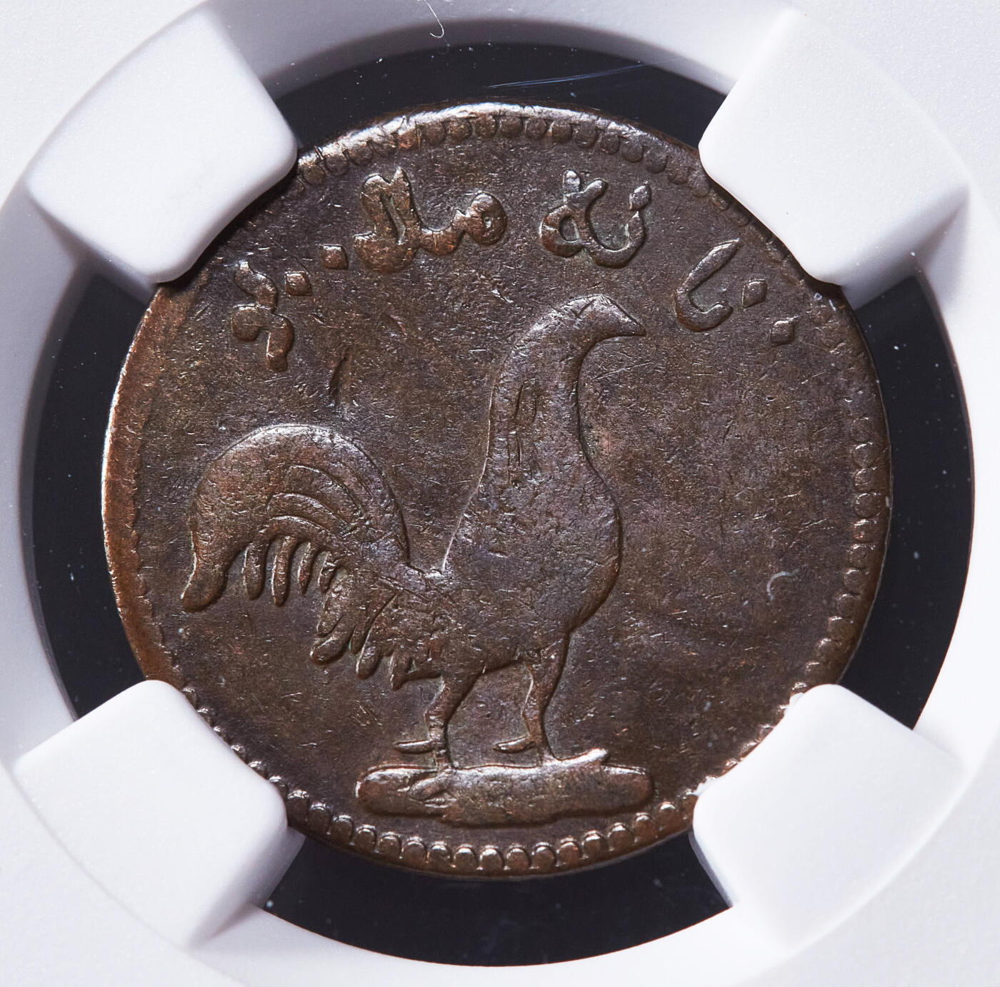 【俄甄集藏】2025年(045)12-03 星期三 晚 19:30 全场包邮 英属新加坡1831年公鸡1科平商业铜质代用币，NGC VF30，热门品种，有分难得