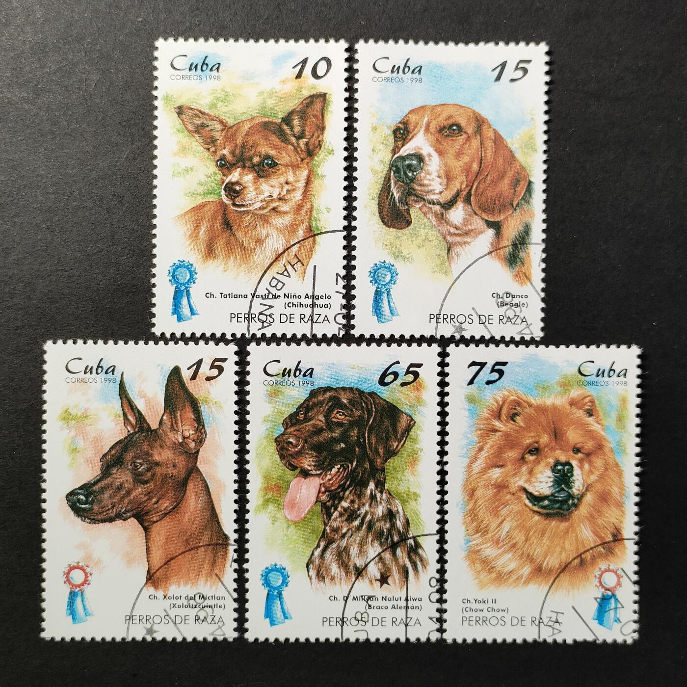 ↓君缘收藏665期☞钱币邮品↓无佣金、可寄存、满30元包邮  古巴邮票，1998年动物 宠物狗邮票5全