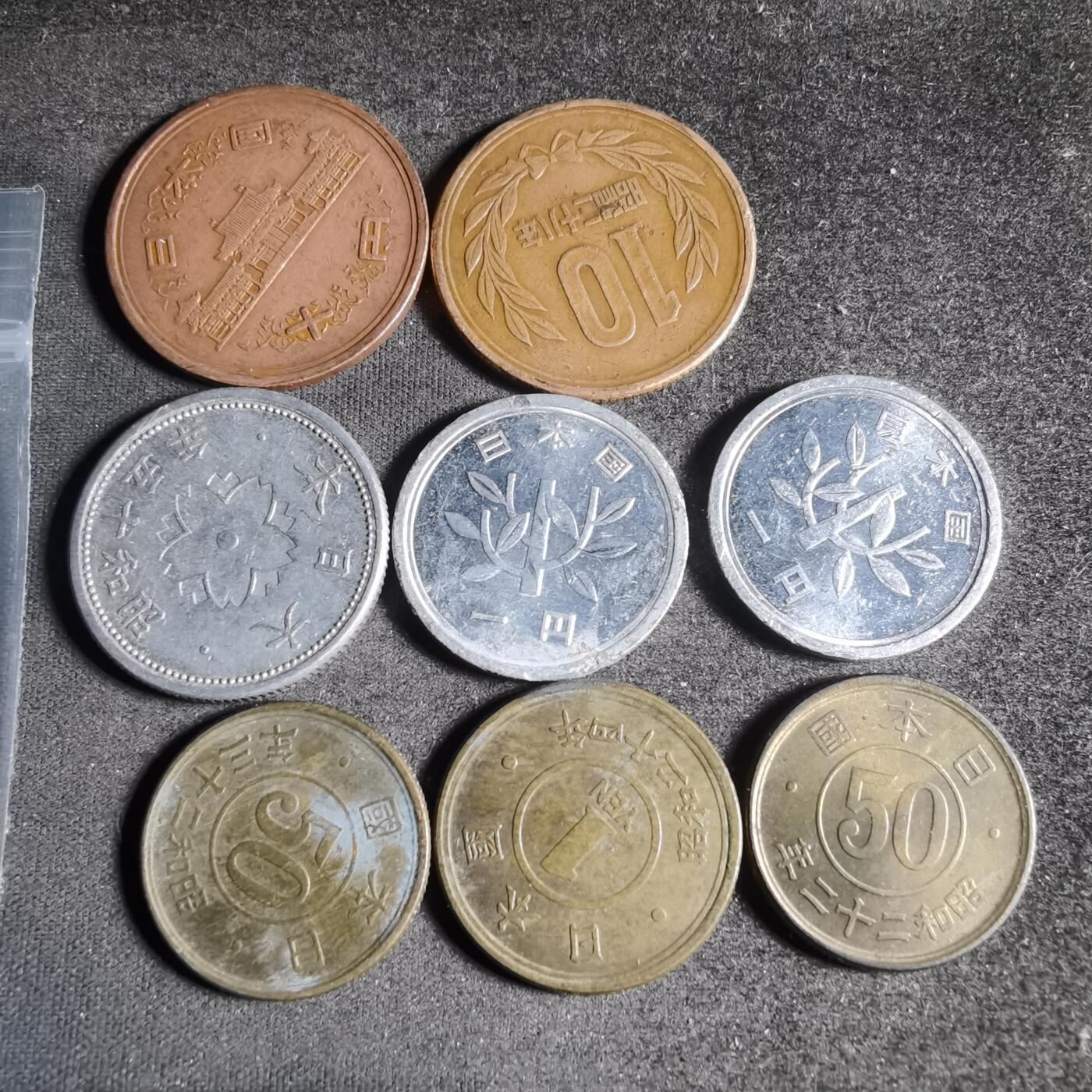 沼泽如烟--第917场