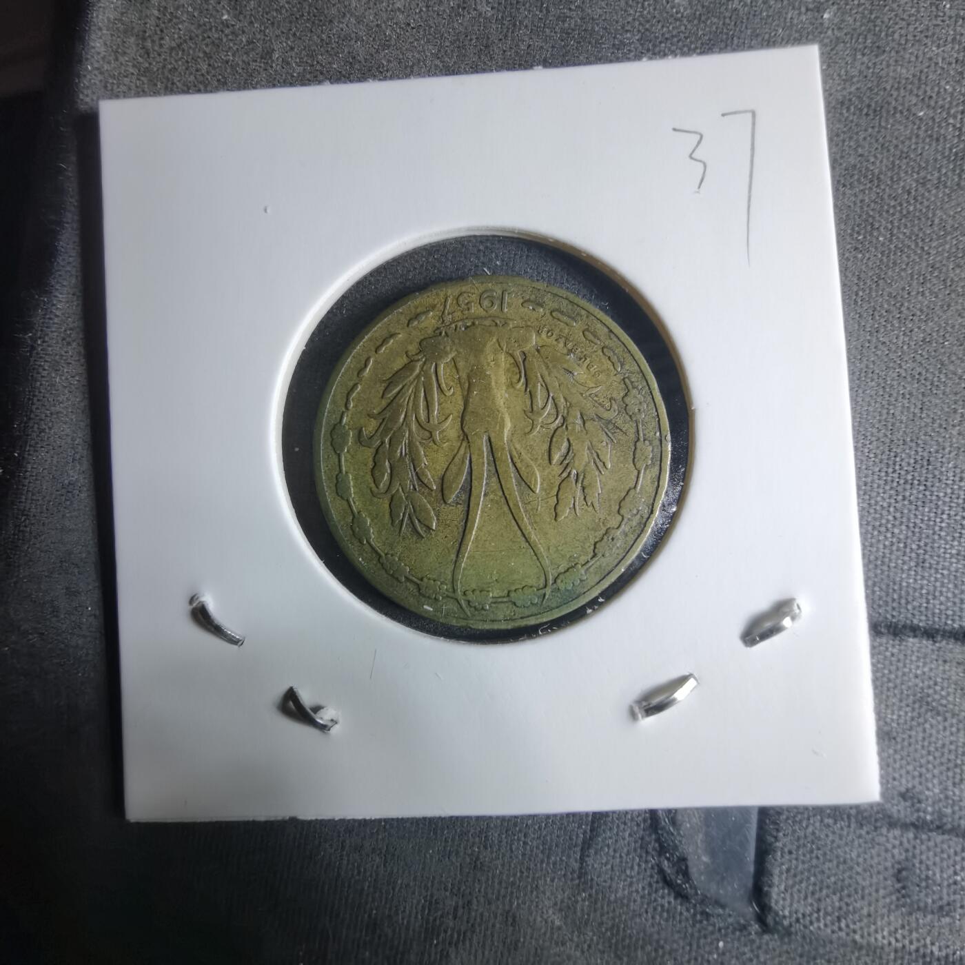 沼泽如烟--第917场