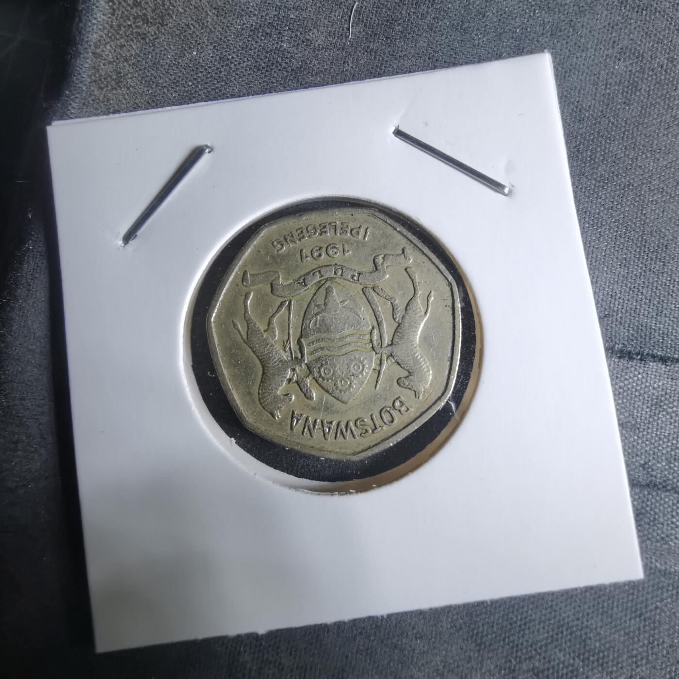 沼泽如烟--第917场