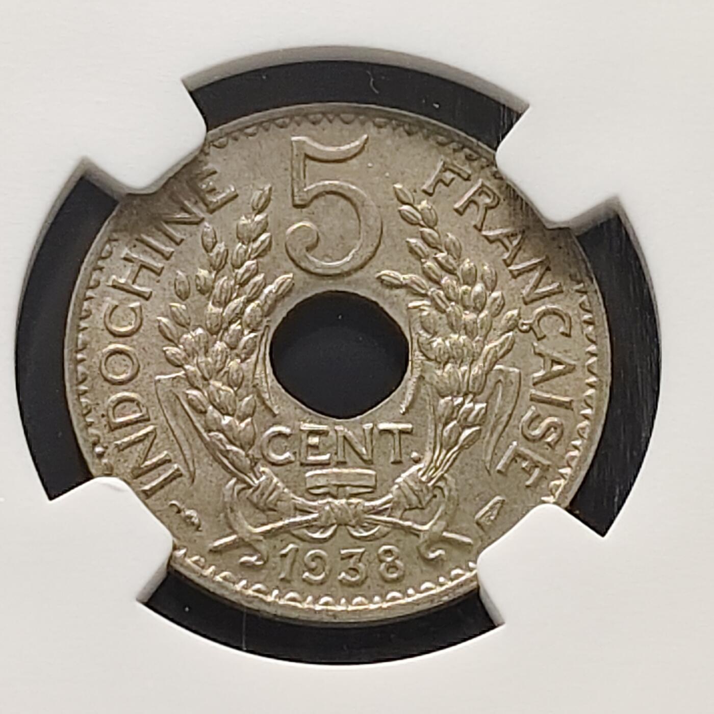 【全场包邮】纯粹捡漏拍483场（免费代拍第20场）