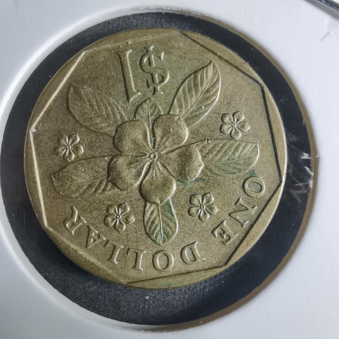 沼泽如烟--第917场