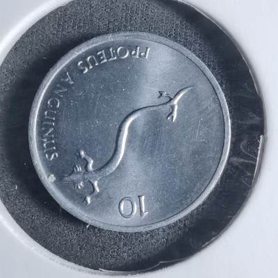 沼泽如烟--第917场 - 斯洛文尼亚1992年十分