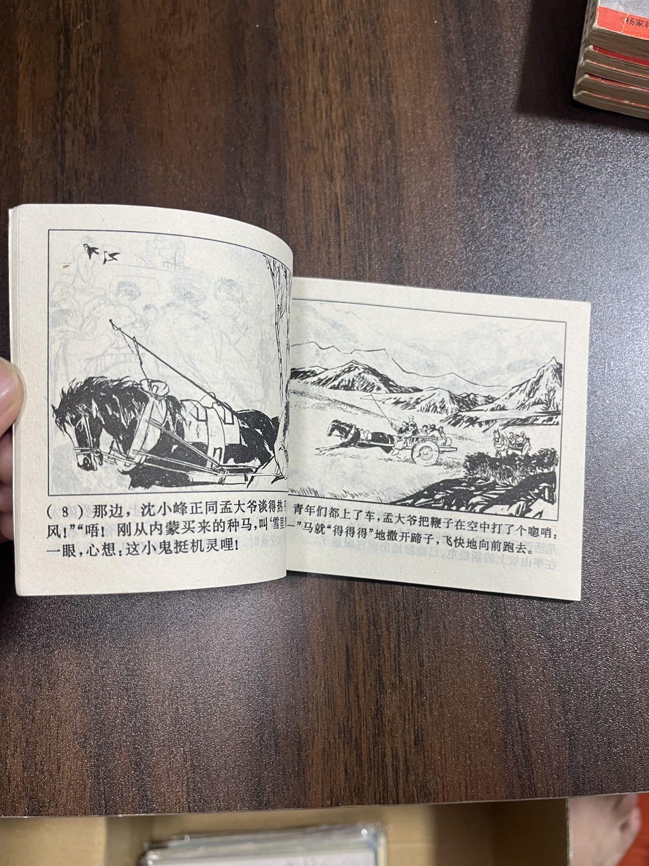 顺昌连环画拍卖（第三期） 新松屯的后代