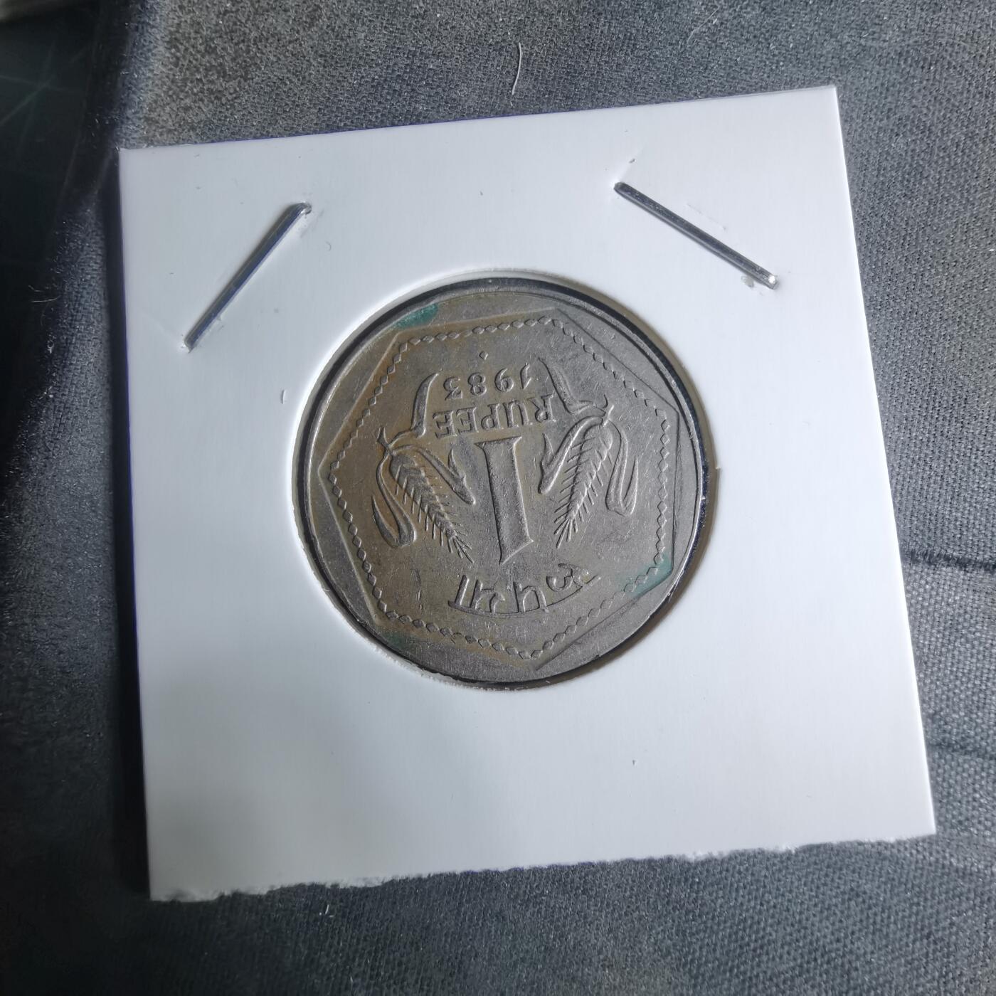 沼泽如烟--第917场