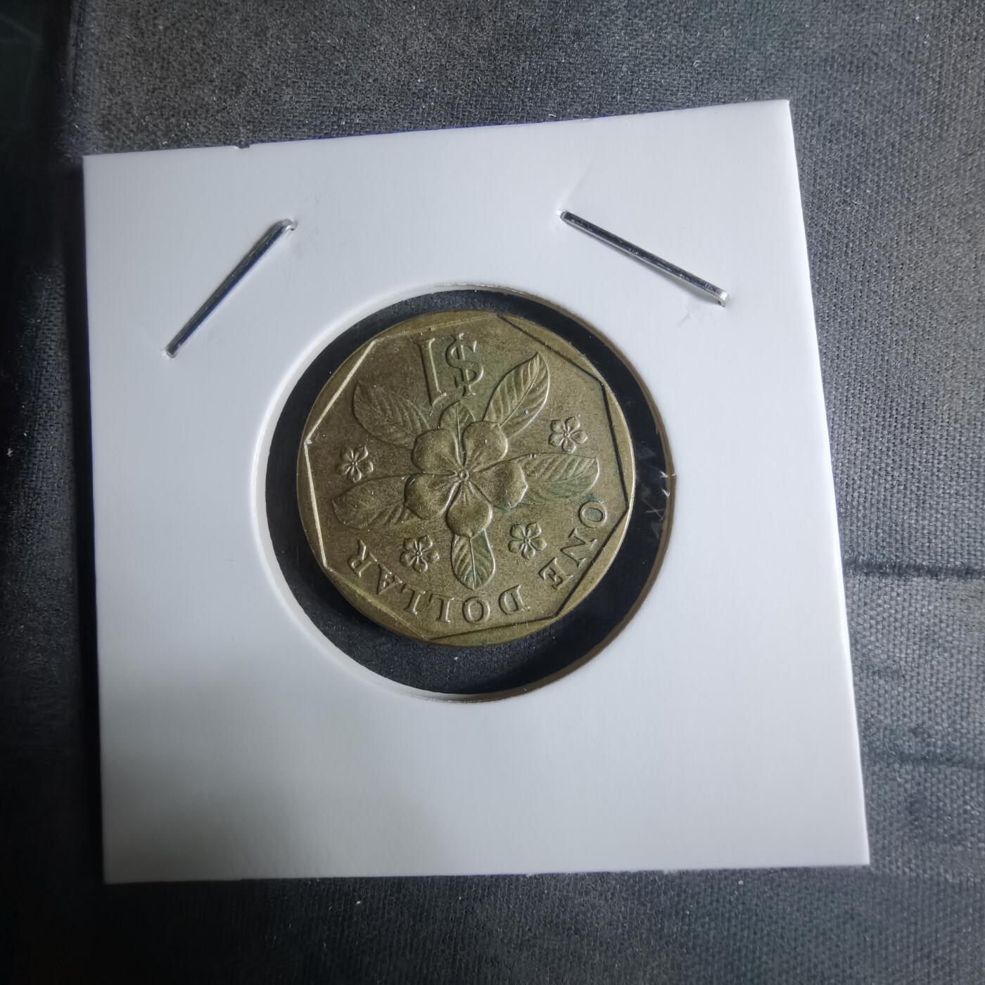 沼泽如烟--第917场