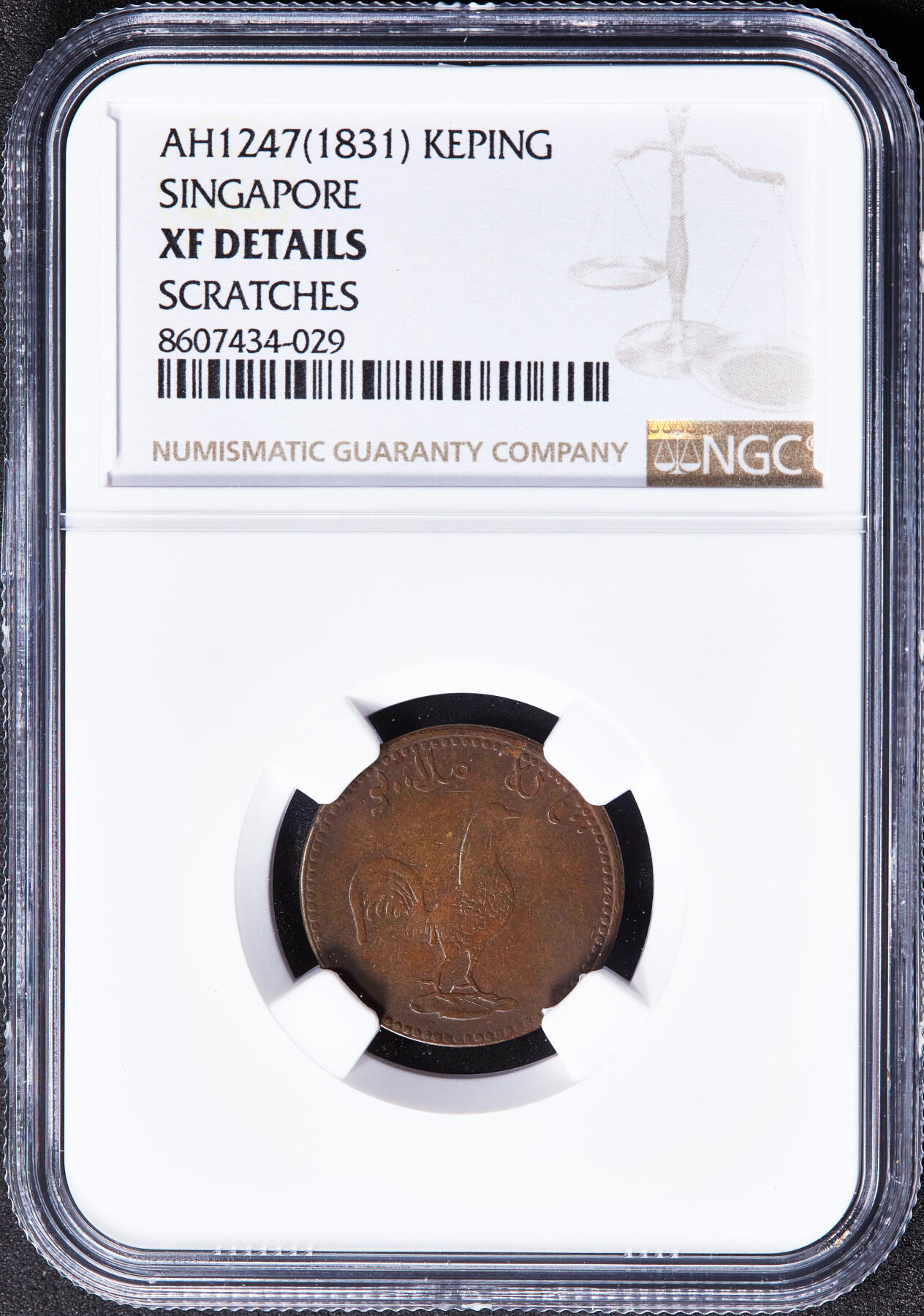 【俄甄集藏】2025年(045)12-03 星期三 晚 19:30 全场包邮 英属新加坡1831年公鸡1科平商业铜质代用币，NGC XFD，热门品种