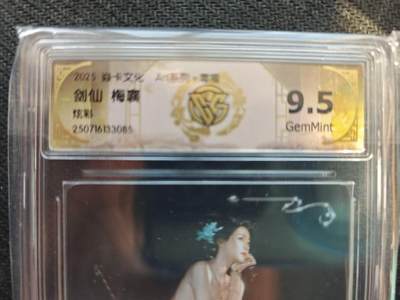 龙虎卡牌六五场 （无佣金，周六结拍，欢迎送拍） - 炫彩评级卡 燎原 毒瘤 剑仙 9.5G