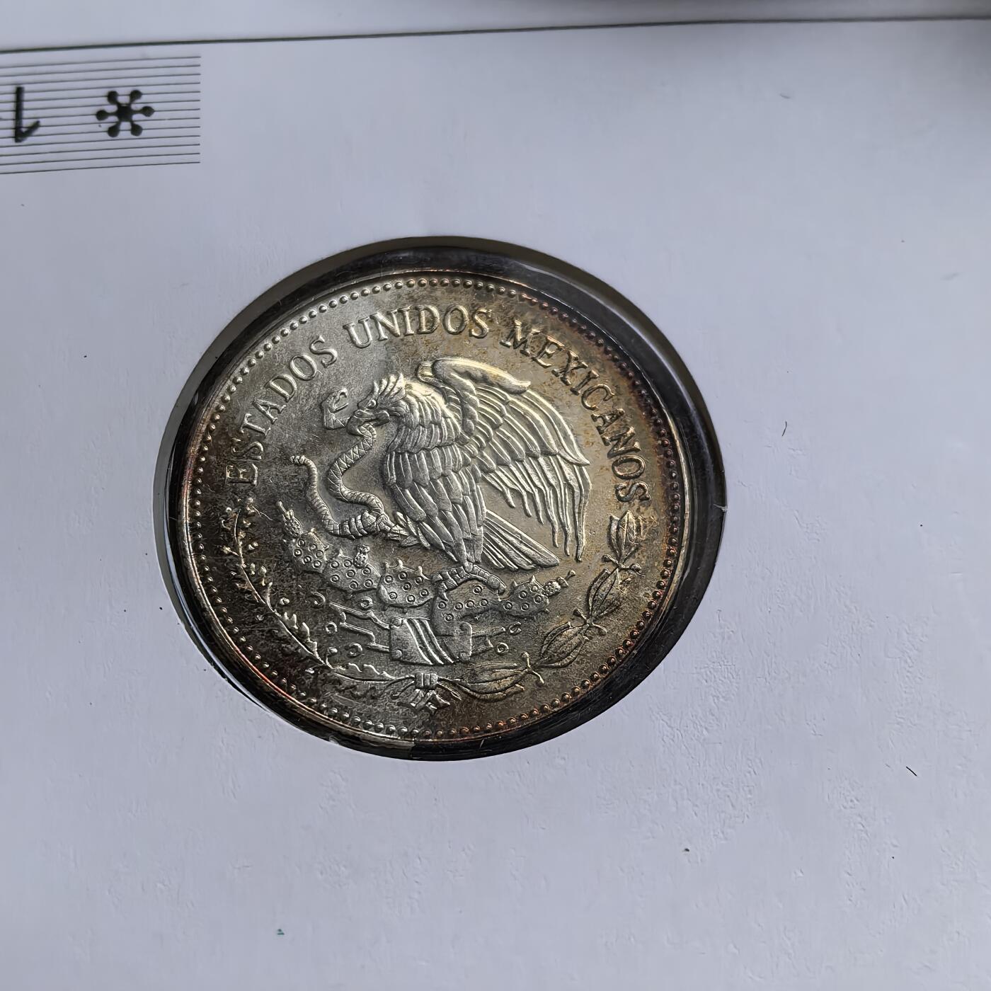 道一币馆币章第一百五十六场