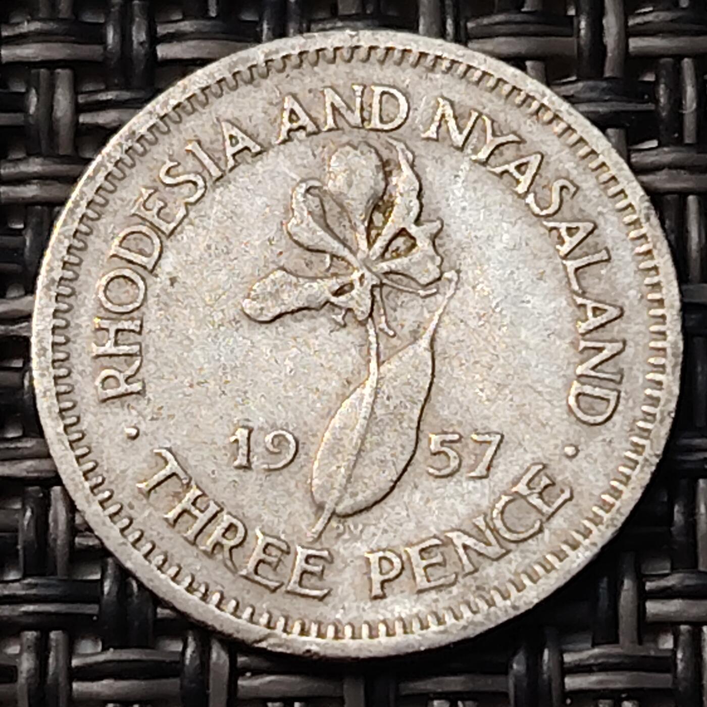 布加迪🐬～世界钱币(上海)🌾第 262 期 /  各国套币和散币 罗德西亚和尼亚萨兰 1957年 3便士 女王头像