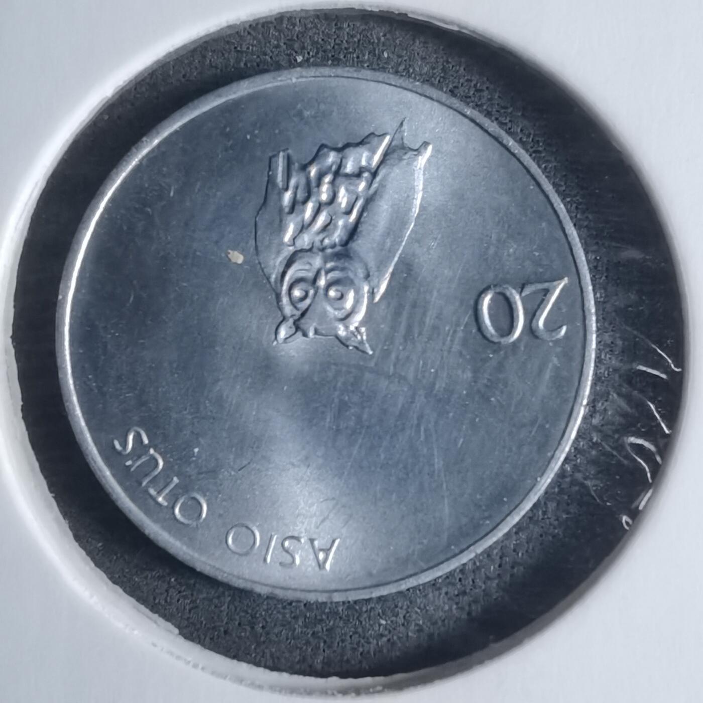 沼泽如烟--第917场