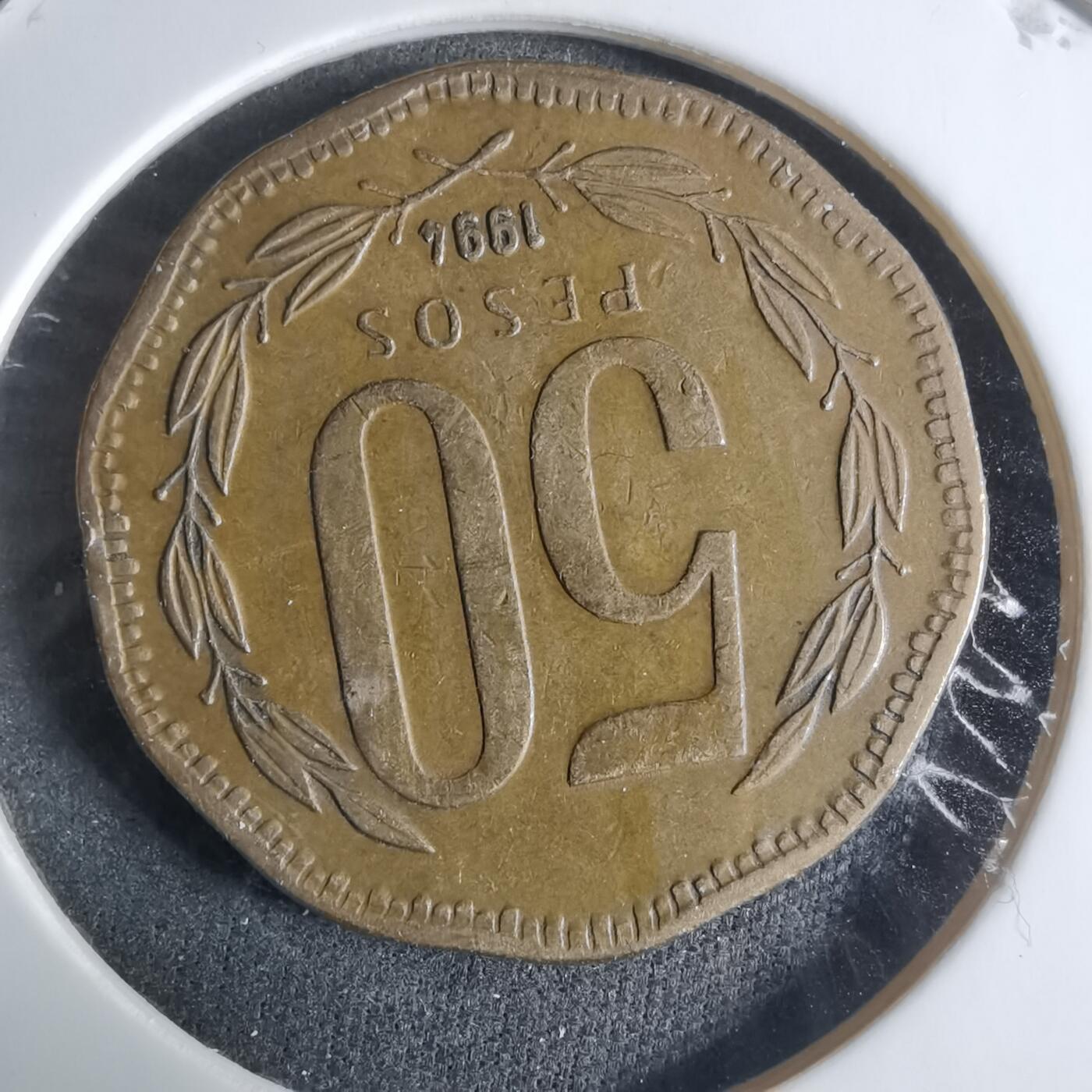 沼泽如烟--第917场