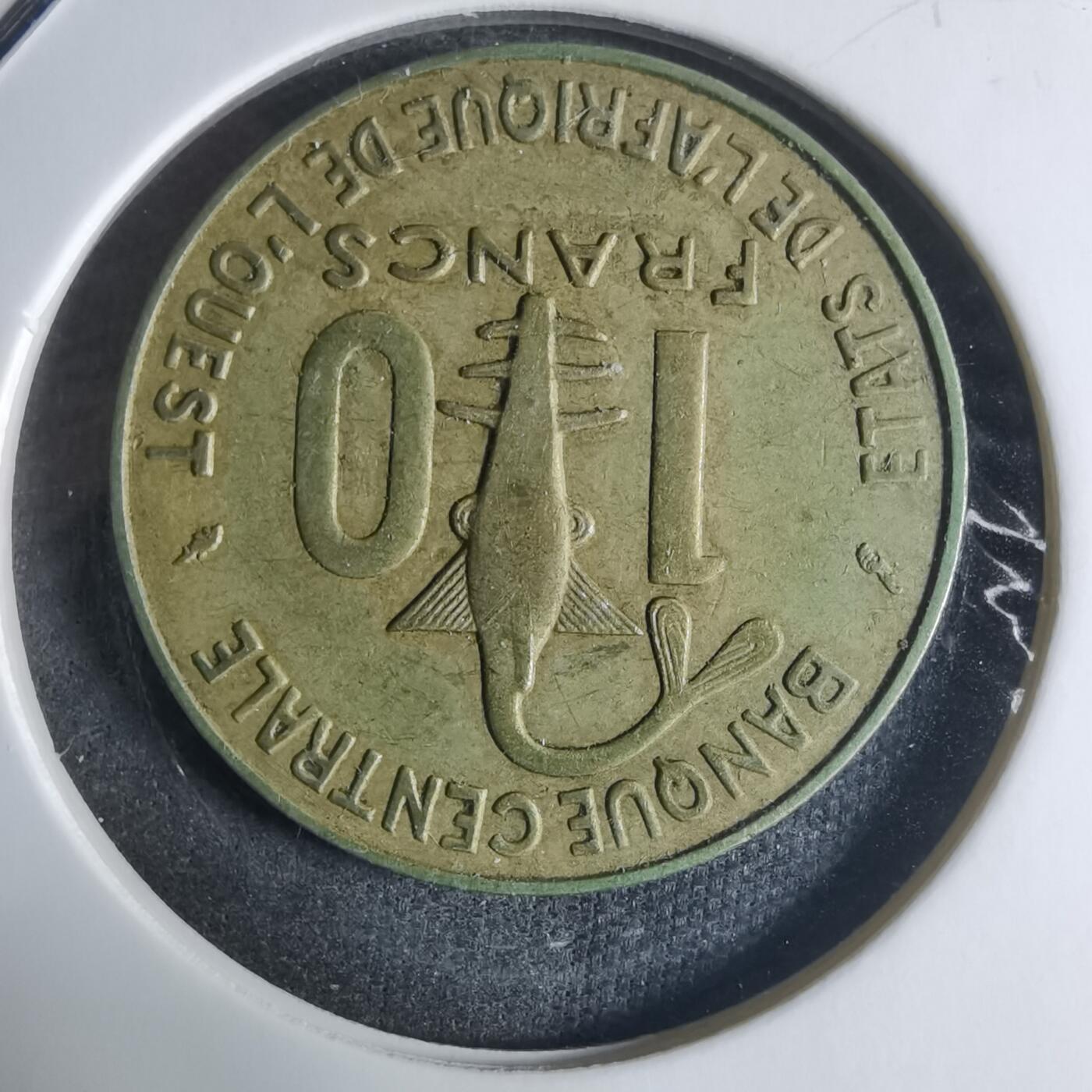 沼泽如烟--第917场