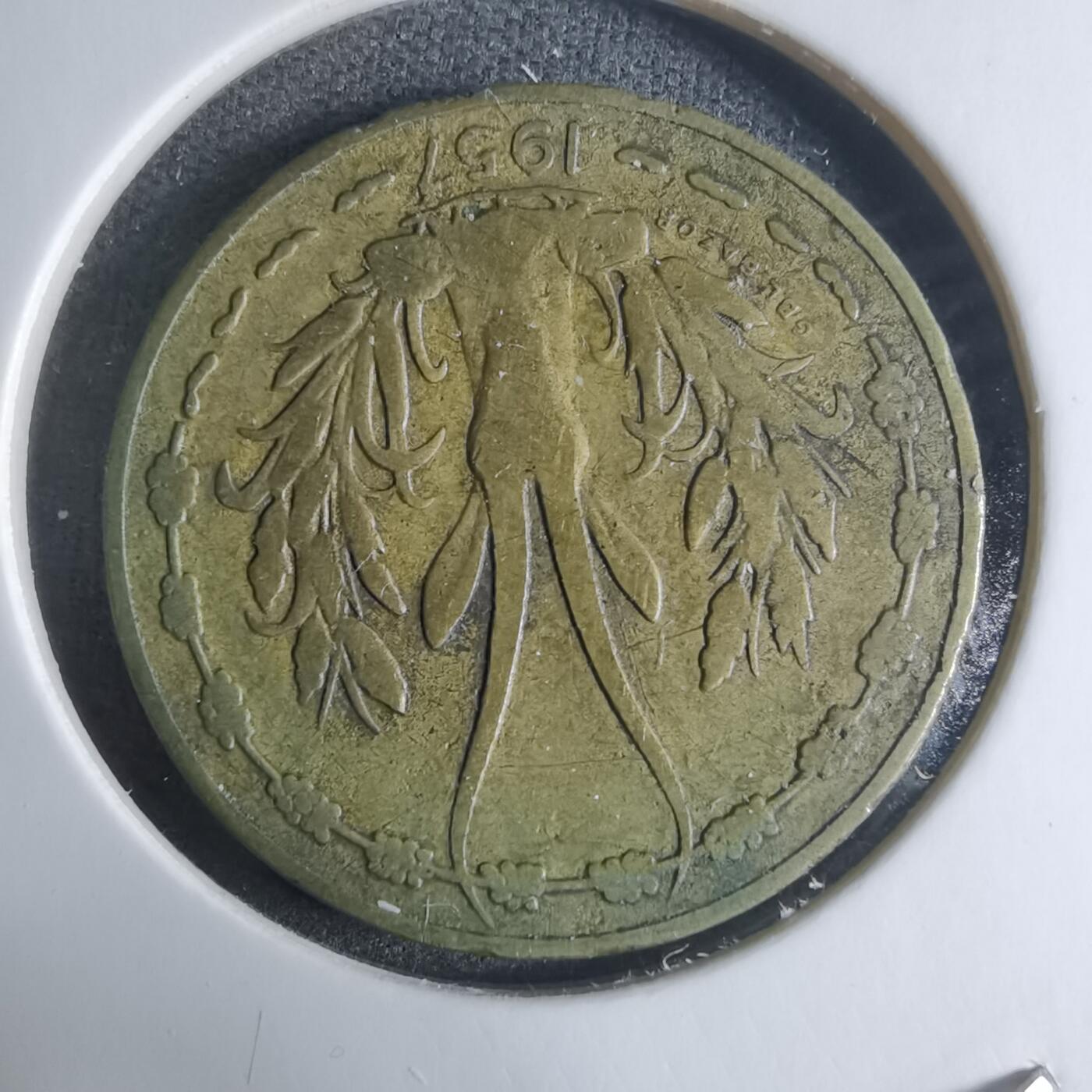 沼泽如烟--第917场