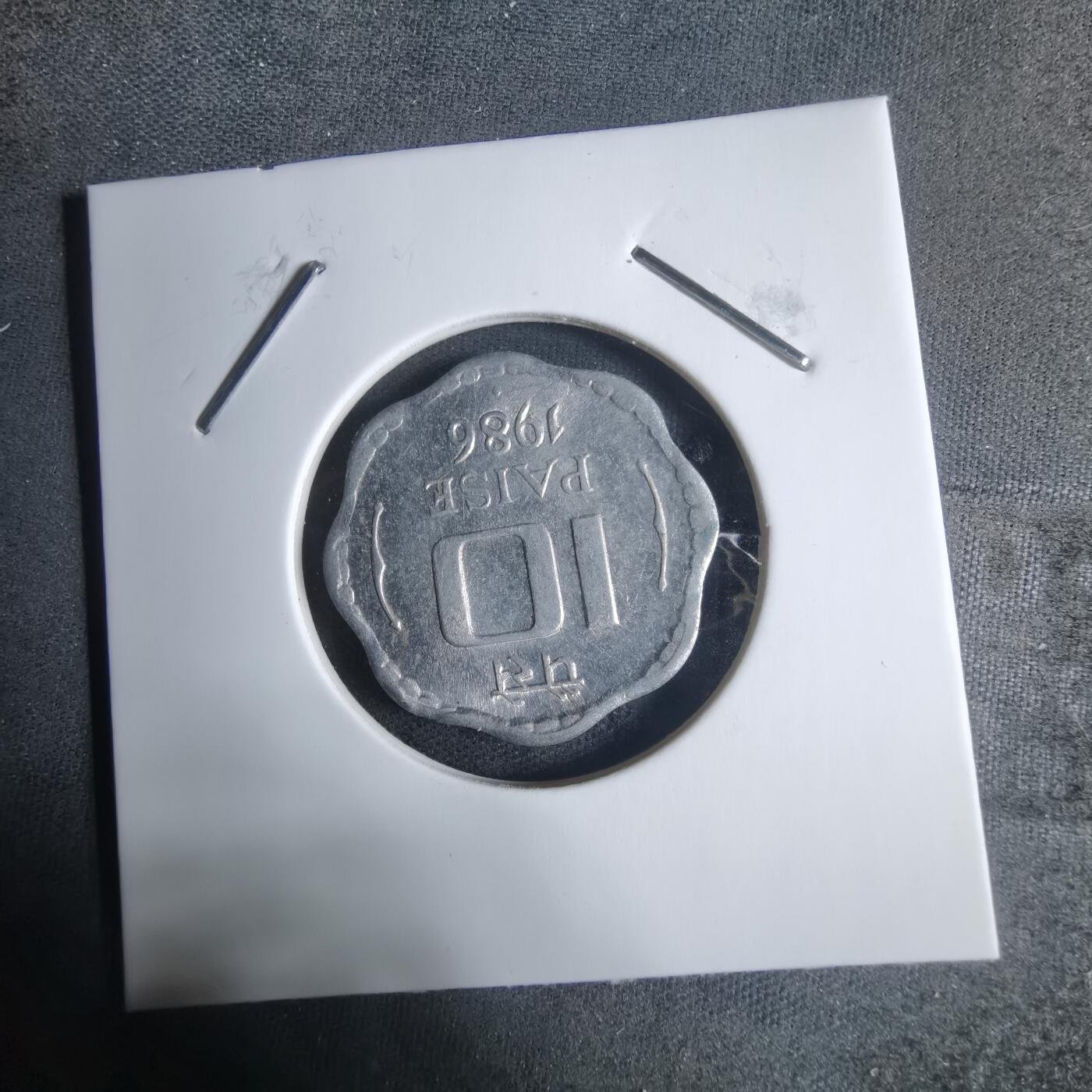 沼泽如烟--第917场