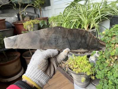 零元拍：NO.20 金丝楠牌子原料未打磨加工，果香满满，未打磨加工已经波光闪闪，尺寸约：33/8/1.3CM。 - 零元拍：NO.20 金丝楠牌子原料未打磨加工，果香满满，未打磨加工已经波光闪闪，尺寸约：33/8/1.3CM。