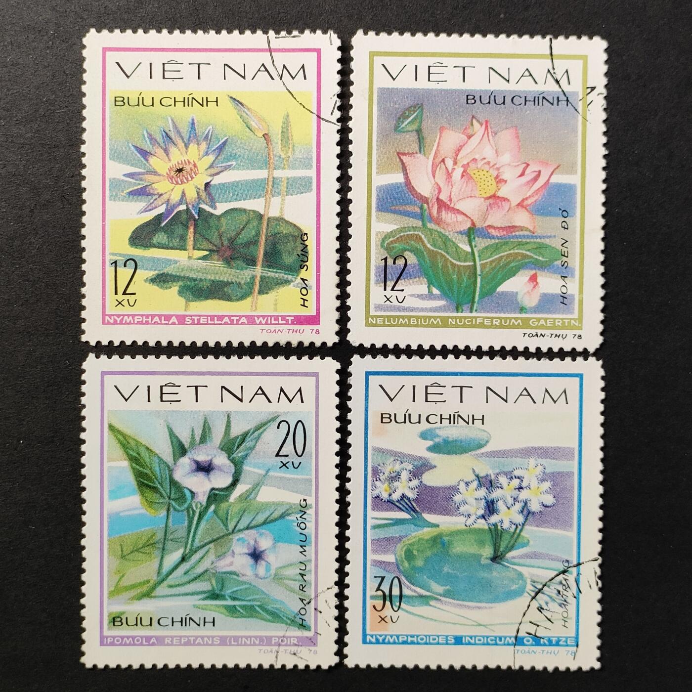 ↓君缘收藏665期☞钱币邮品↓无佣金、可寄存、满30元包邮 