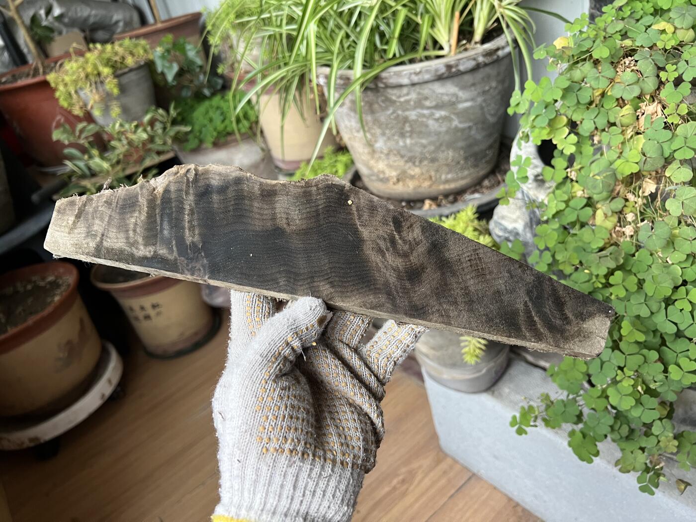 零元拍：NO.20 金丝楠牌子原料未打磨加工，果香满满，未打磨加工已经波光闪闪，尺寸约：33/8/1.3CM。