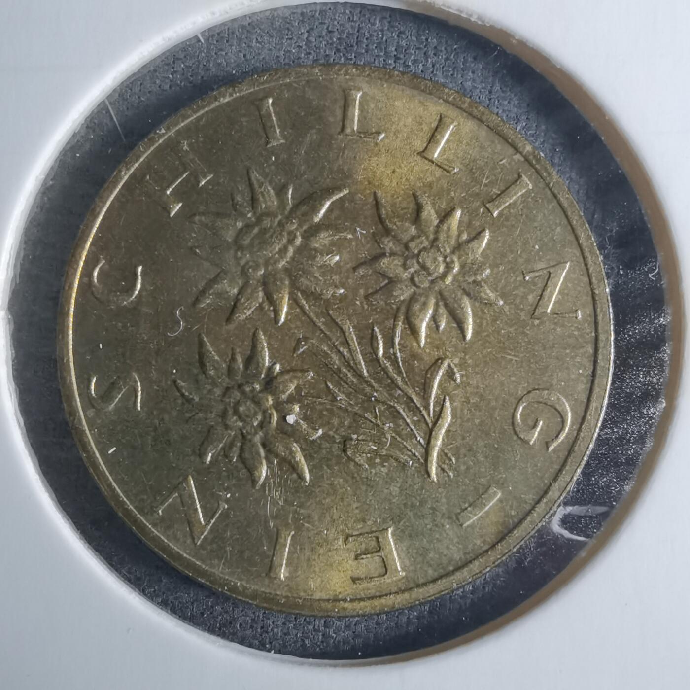 沼泽如烟--第917场