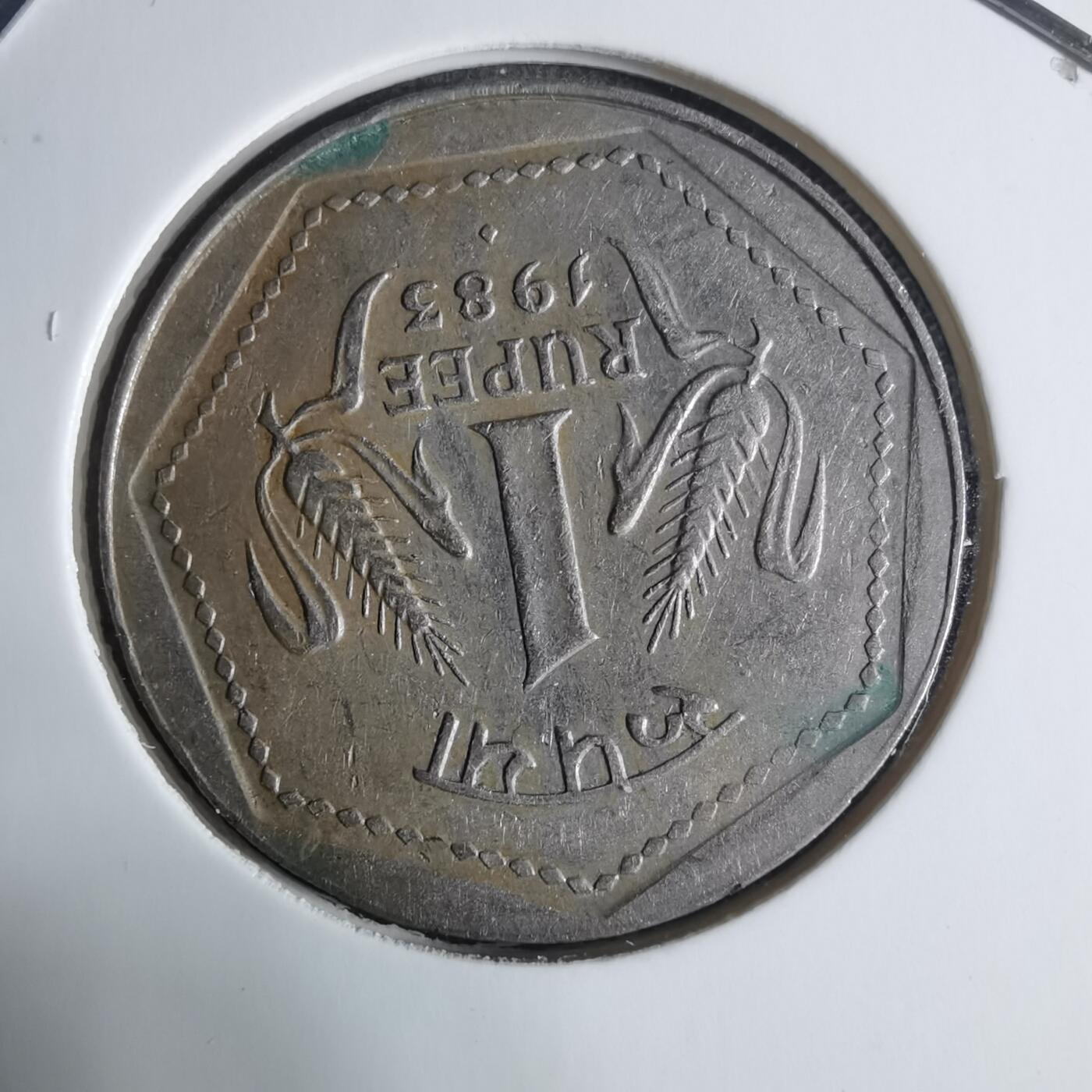 沼泽如烟--第917场