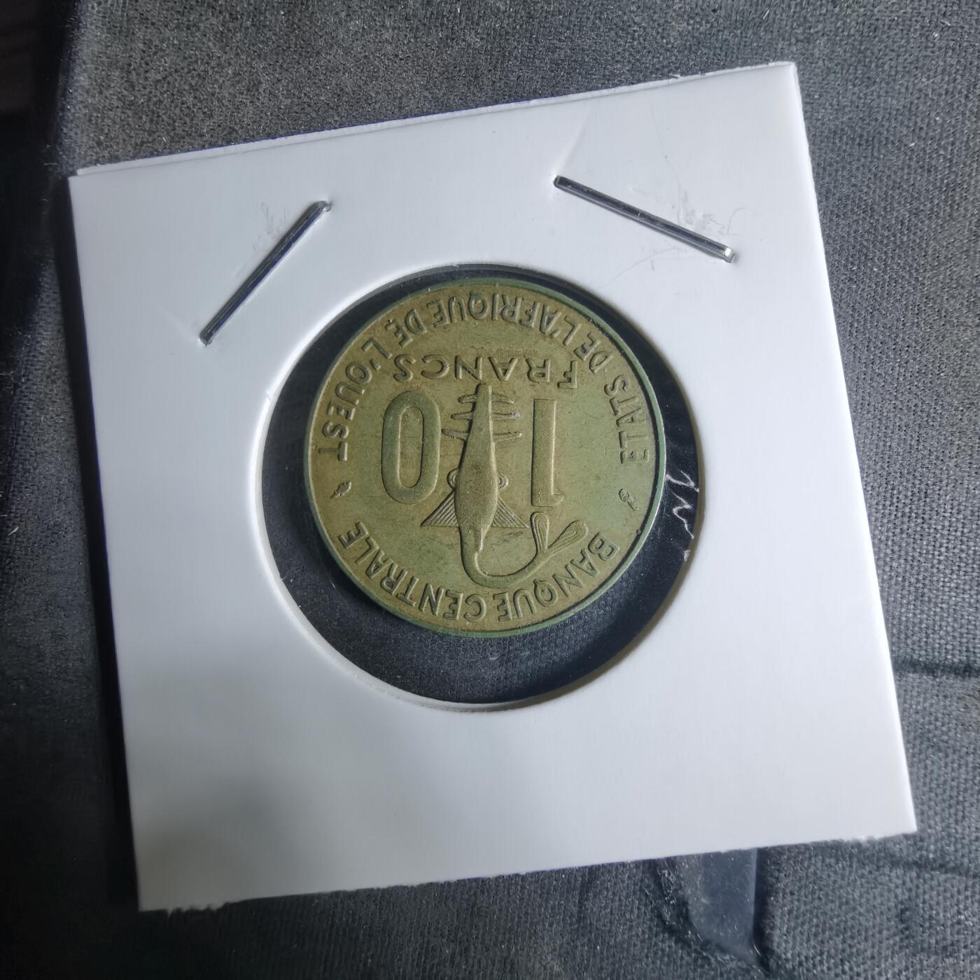 沼泽如烟--第917场