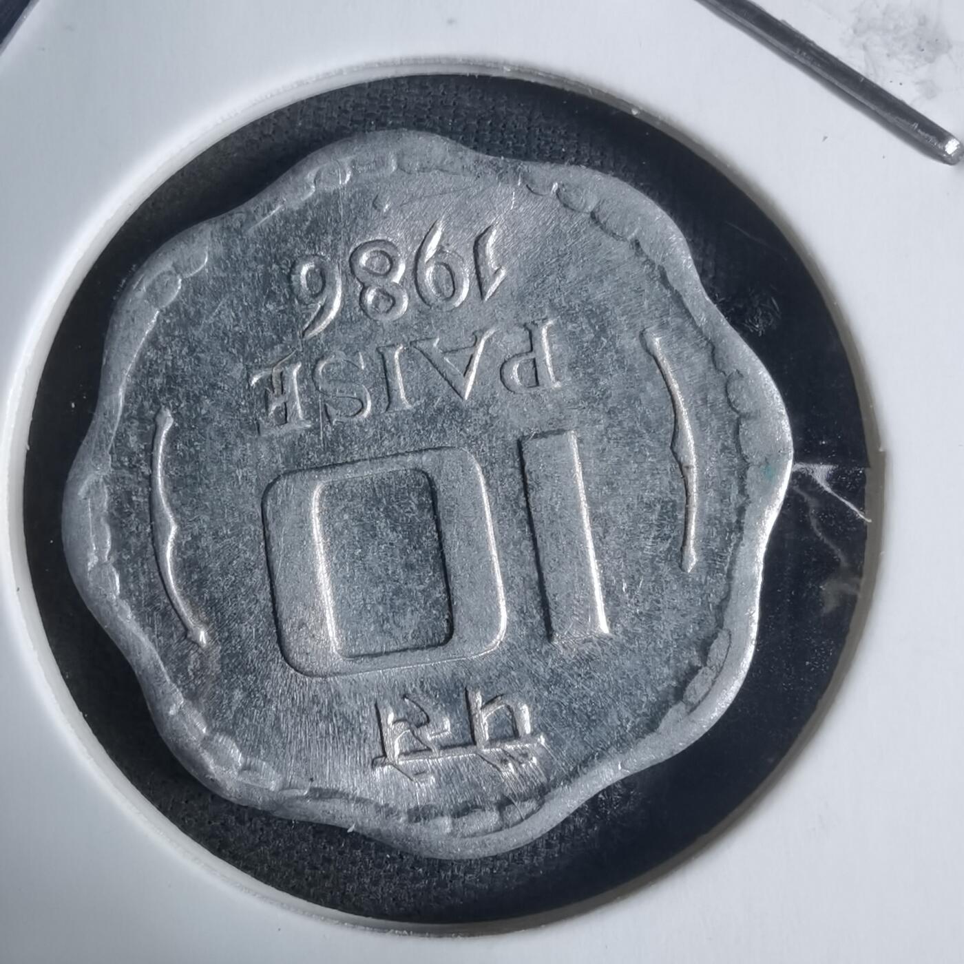 沼泽如烟--第917场