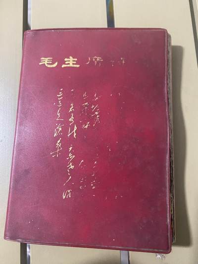 江南站杂件场 - 红宝石书，主席诗词，缺林题，其它不缺页，带多张插图