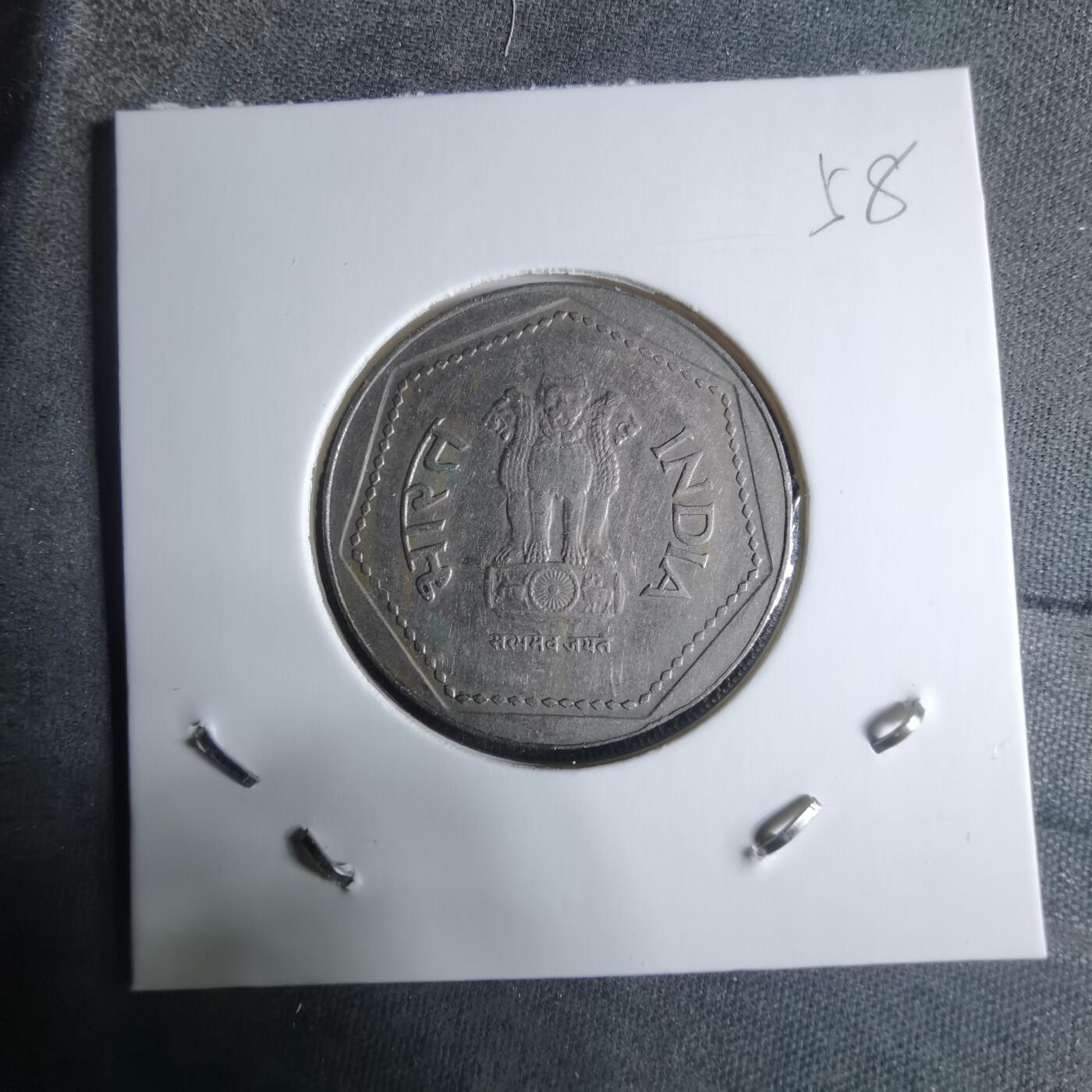 沼泽如烟--第917场